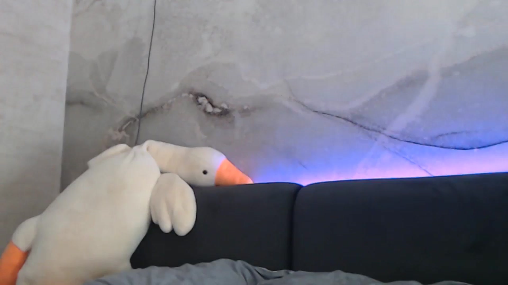 Gallery image thumbnail from An_Basset's myfreecams stream on, 09/19/2023, 16:14 image 6 of 20