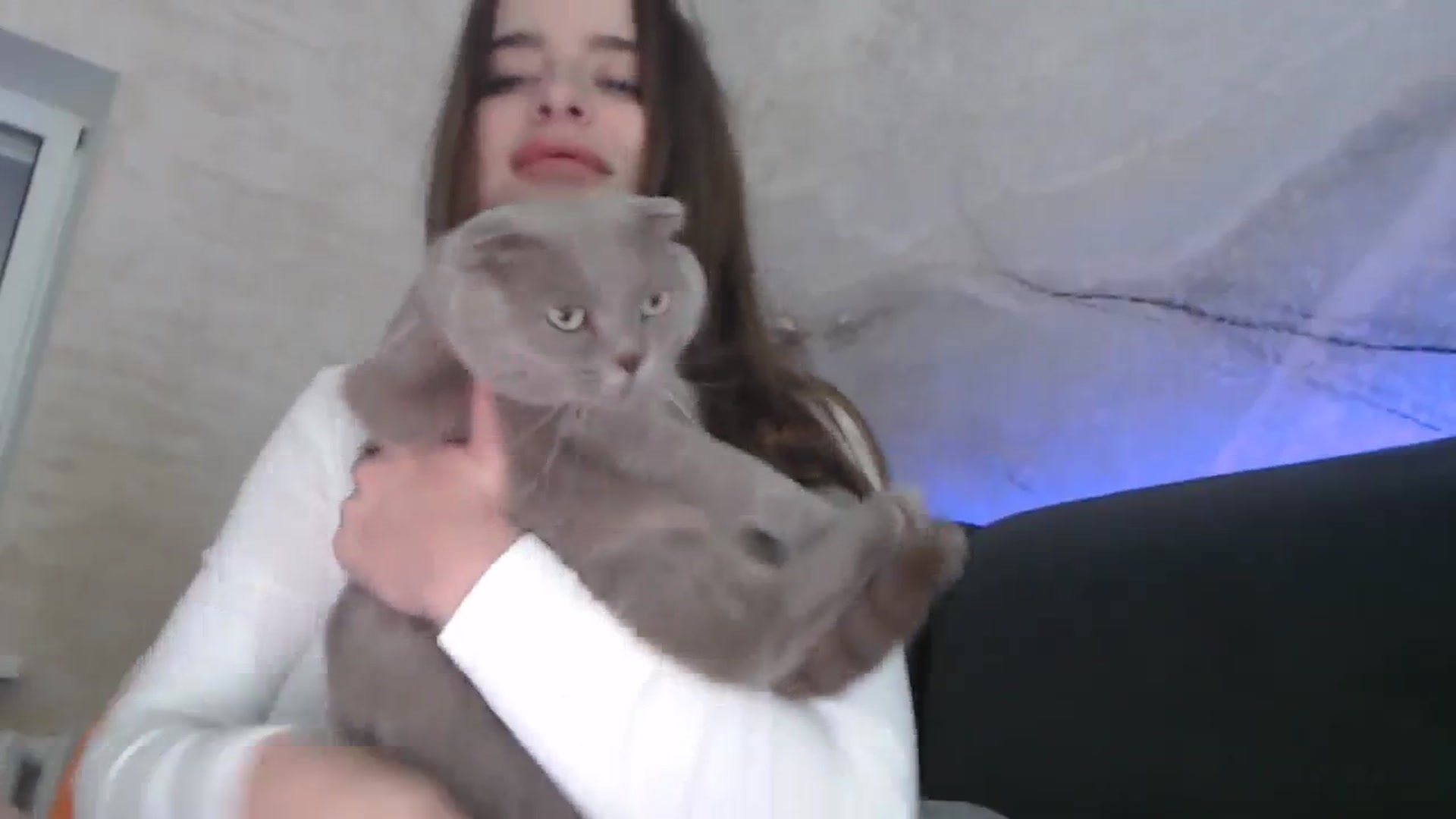 Gallery image thumbnail from An_Basset's myfreecams stream on, 09/19/2023, 16:14 image 15 of 20