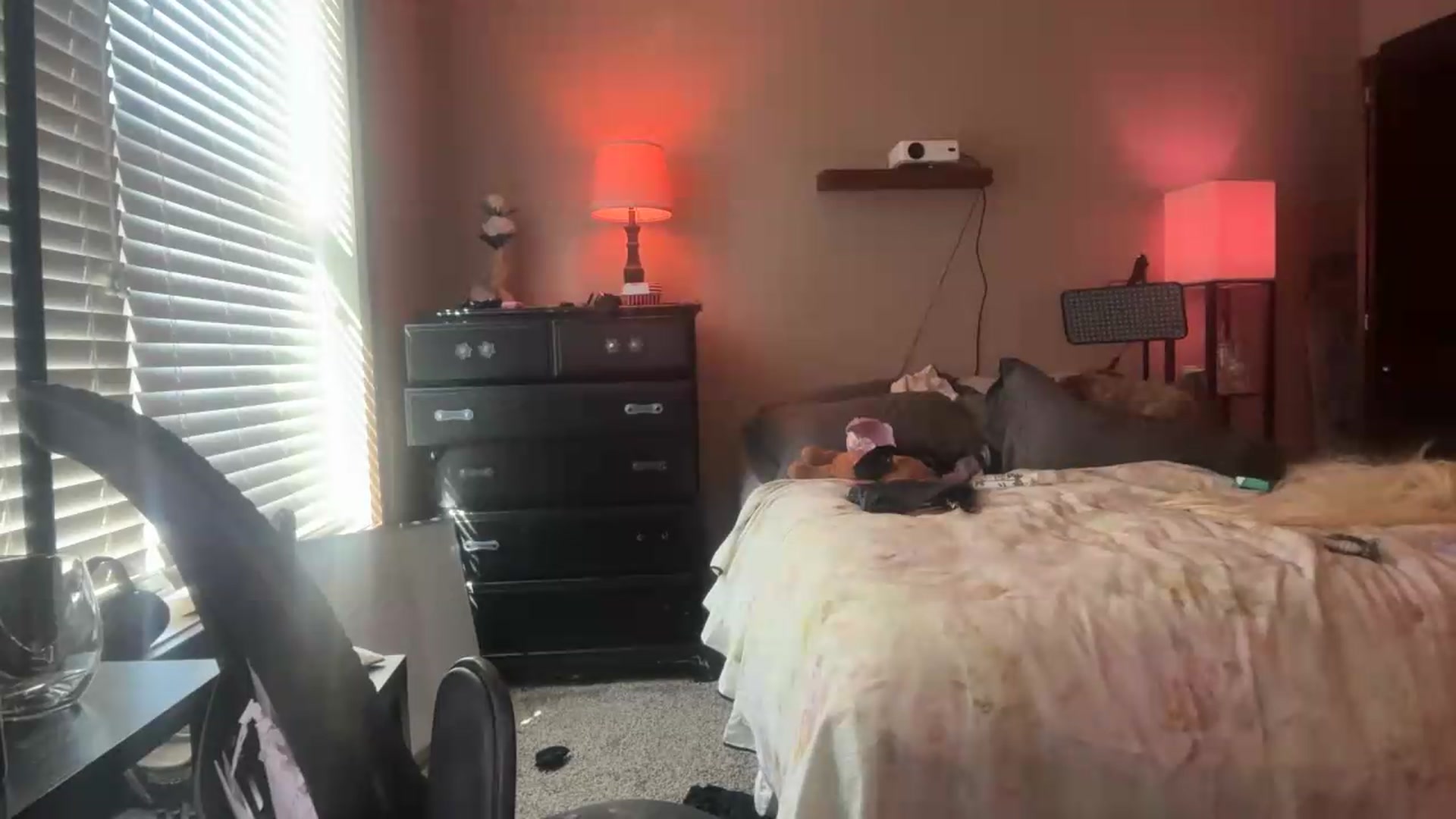 Gallery image thumbnail from AnaFoxx's myfreecams stream on, 08/21/2026, 17:28 image 6 of 20