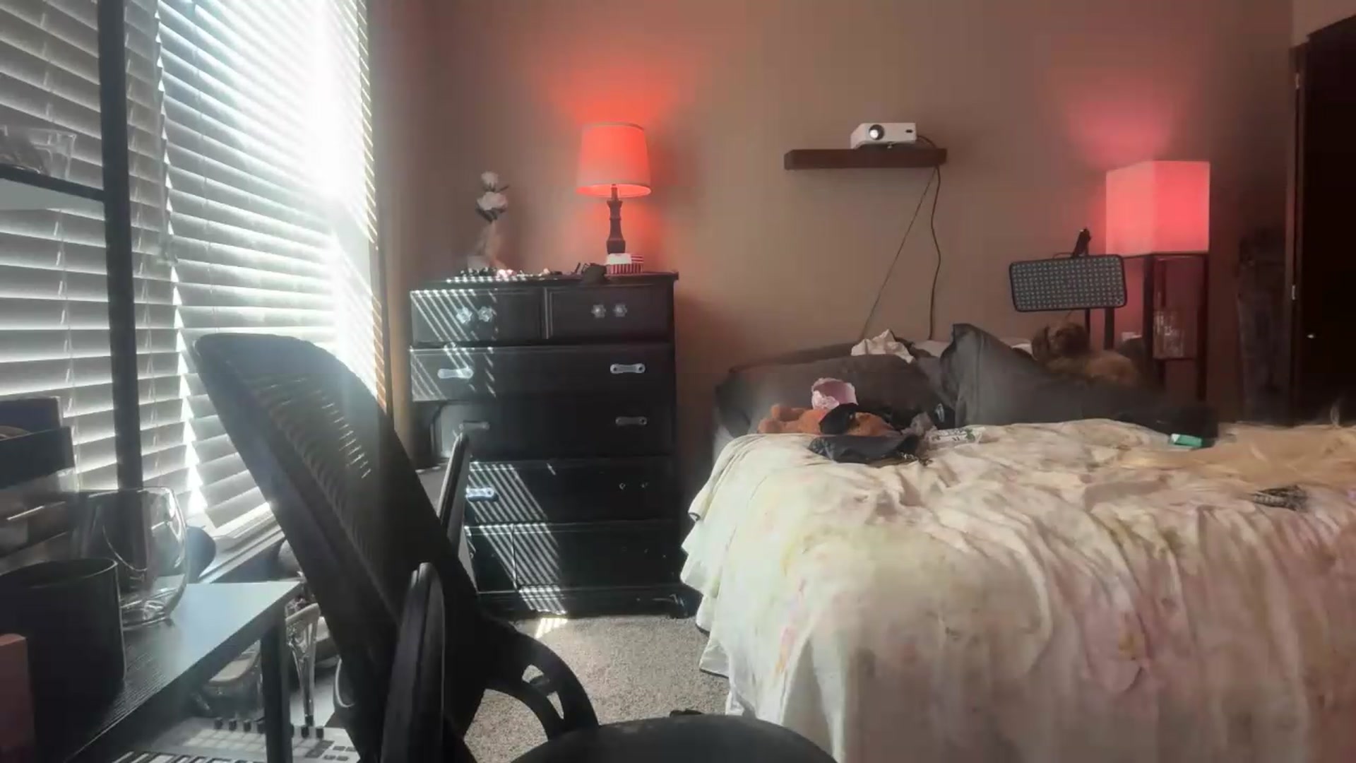 Gallery image thumbnail from AnaFoxx's myfreecams stream on, 08/21/2026, 17:28 image 9 of 20