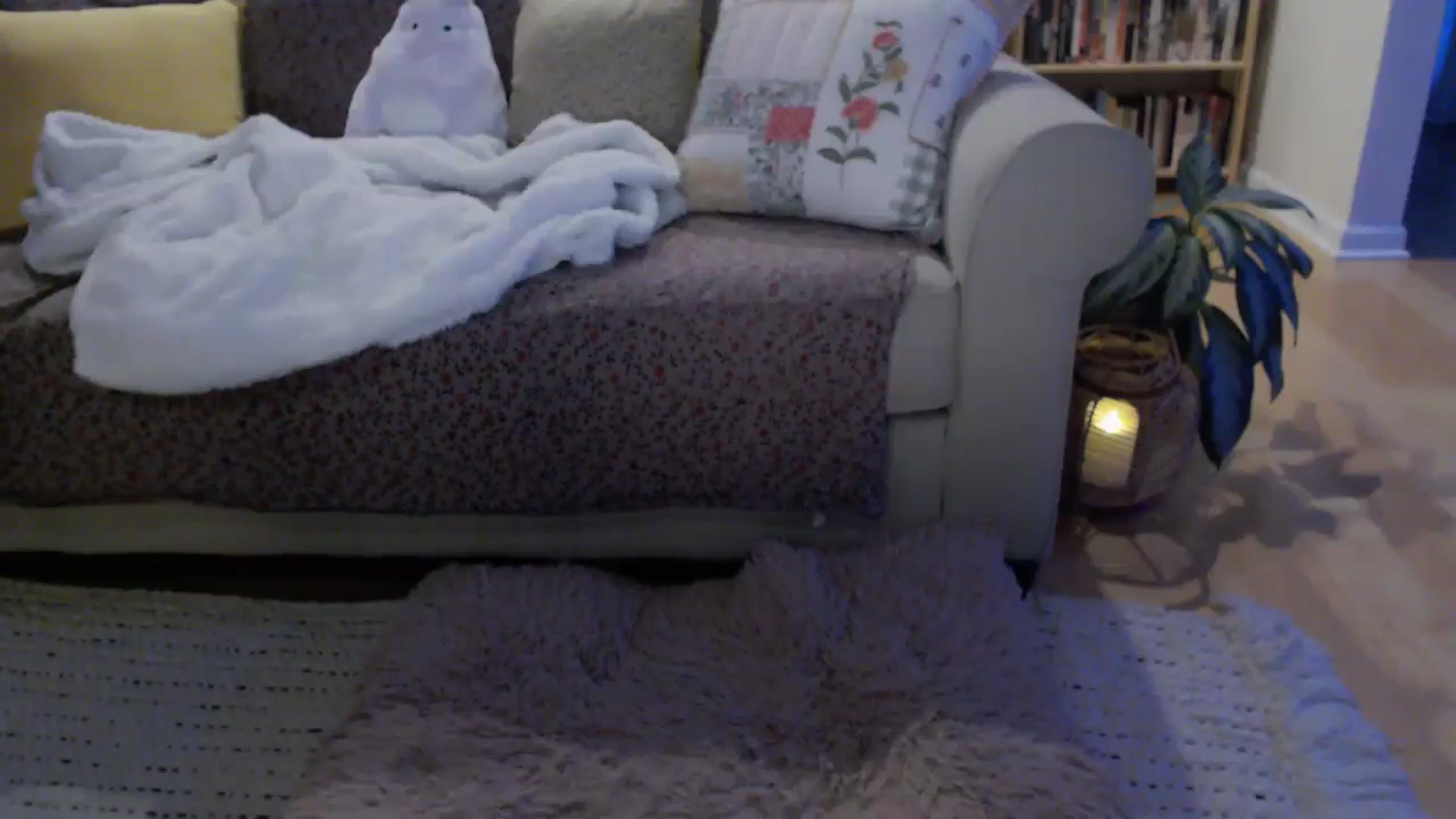 Gallery image thumbnail from AnaMei's myfreecams stream on, 06/16/2024, 05:43 image 10 of 20