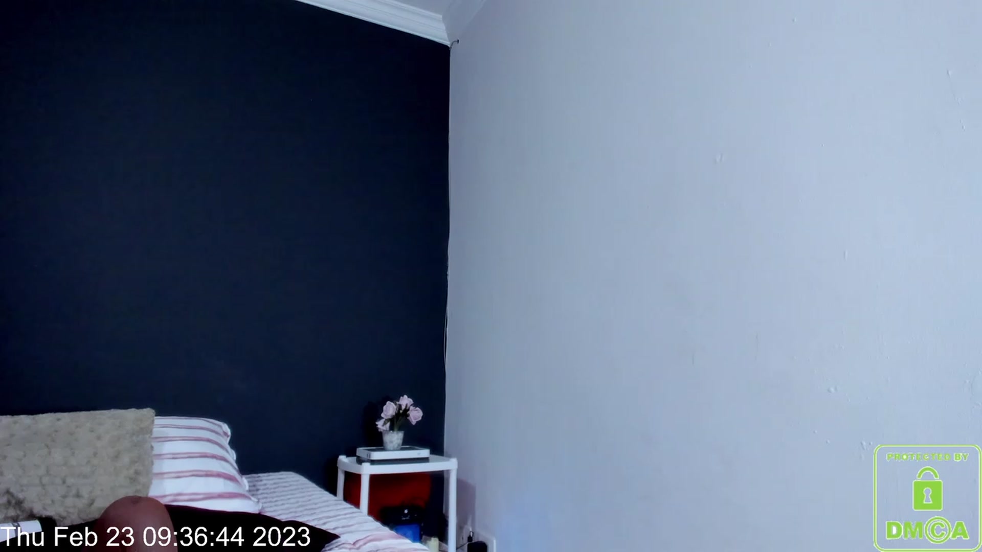 Gallery image thumbnail from AnaRosas's myfreecams stream on, 02/23/2023, 15:57 image 4 of 20