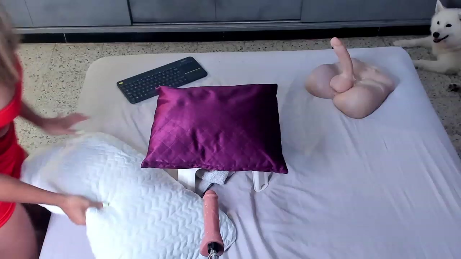 Gallery image thumbnail from AnaRosas's myfreecams stream on, 11/14/2023, 17:25 image 7 of 20