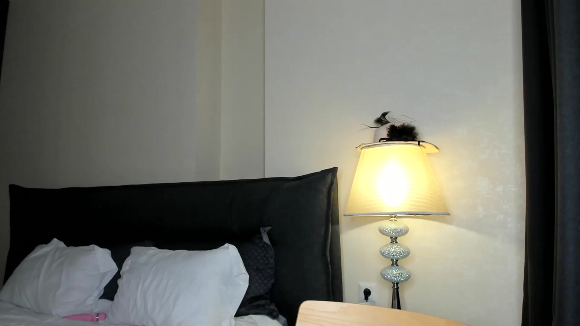 Gallery image thumbnail from AnaStyx's myfreecams stream on, 01/13/2024, 17:03 image 4 of 20