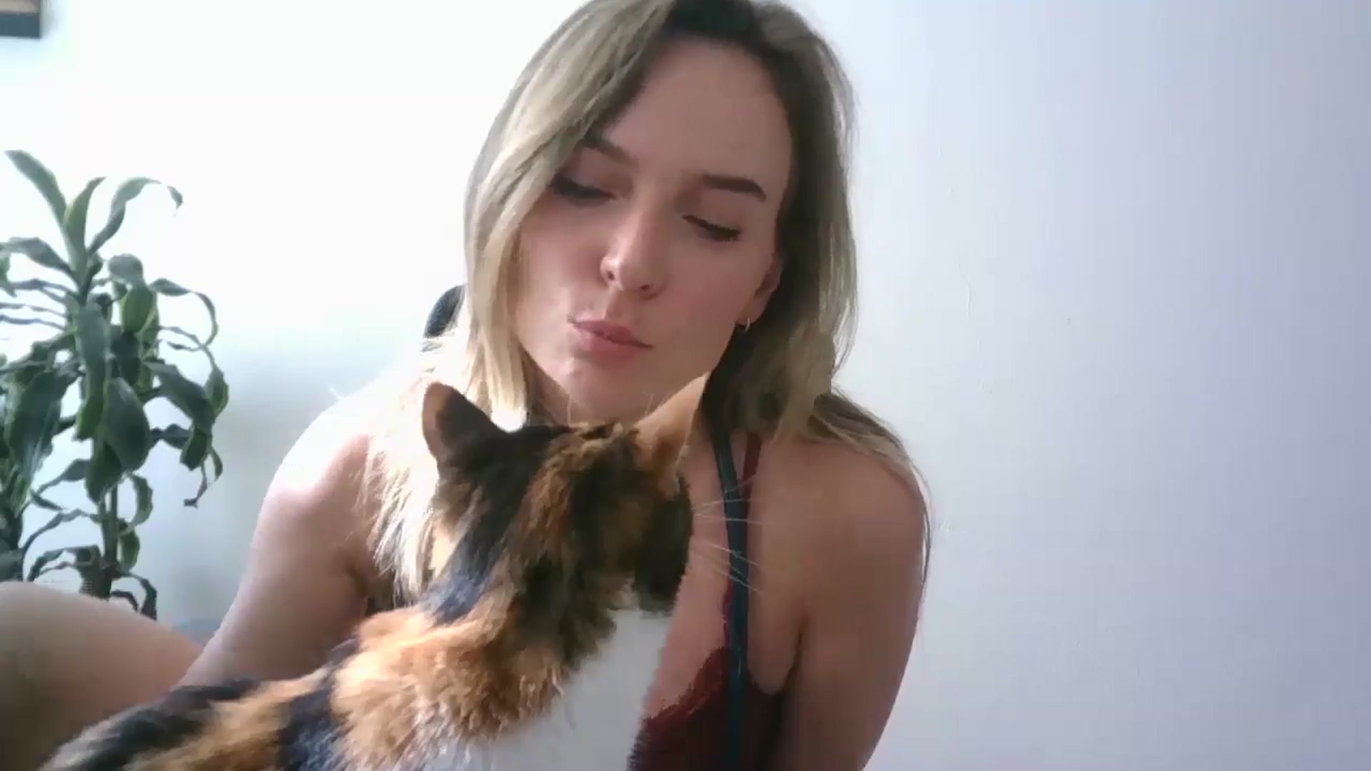 Gallery image thumbnail from Ana_Alexis's myfreecams stream on, 07/29/2024, 07:46 image 10 of 20