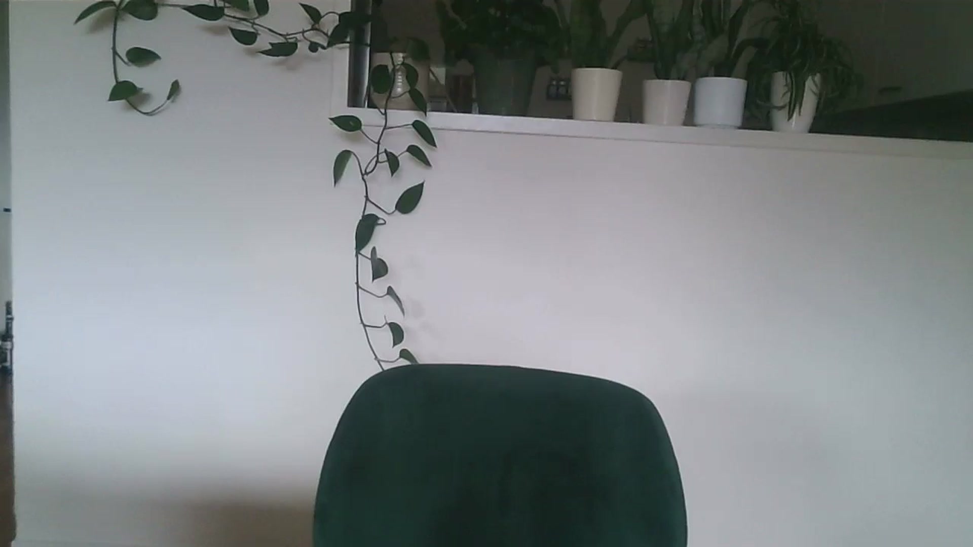 Gallery image thumbnail from Ana_Alexis's myfreecams stream on, 08/03/2024, 16:51 image 8 of 20