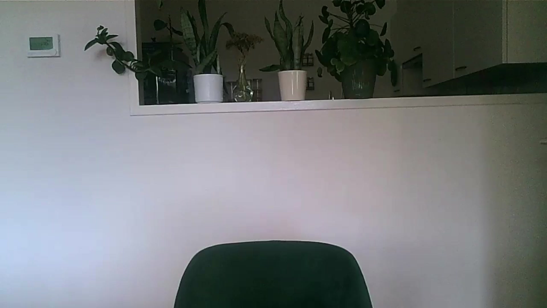 Gallery image thumbnail from Ana_Alexis's myfreecams stream on, 11/11/2024, 13:30 image 4 of 20