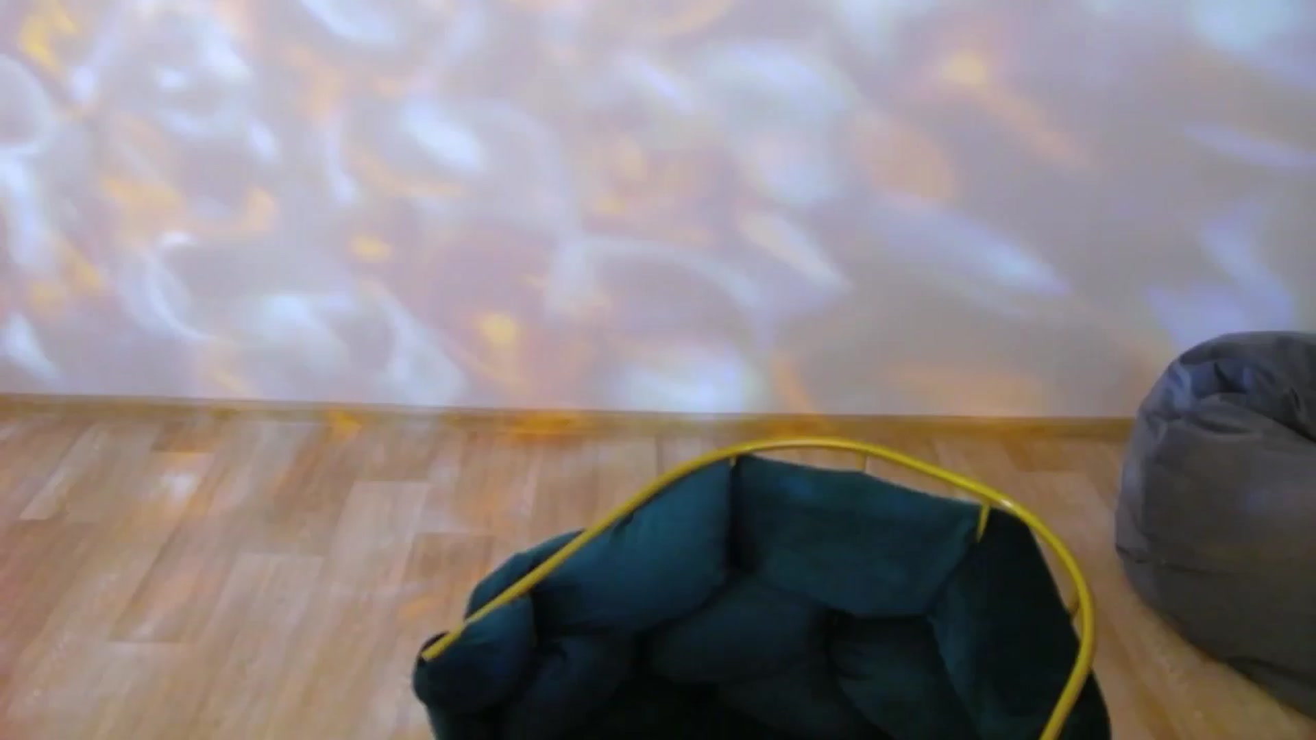 Gallery image thumbnail from Ana_Bird's myfreecams stream on, 05/18/2025, 06:43 image 3 of 20