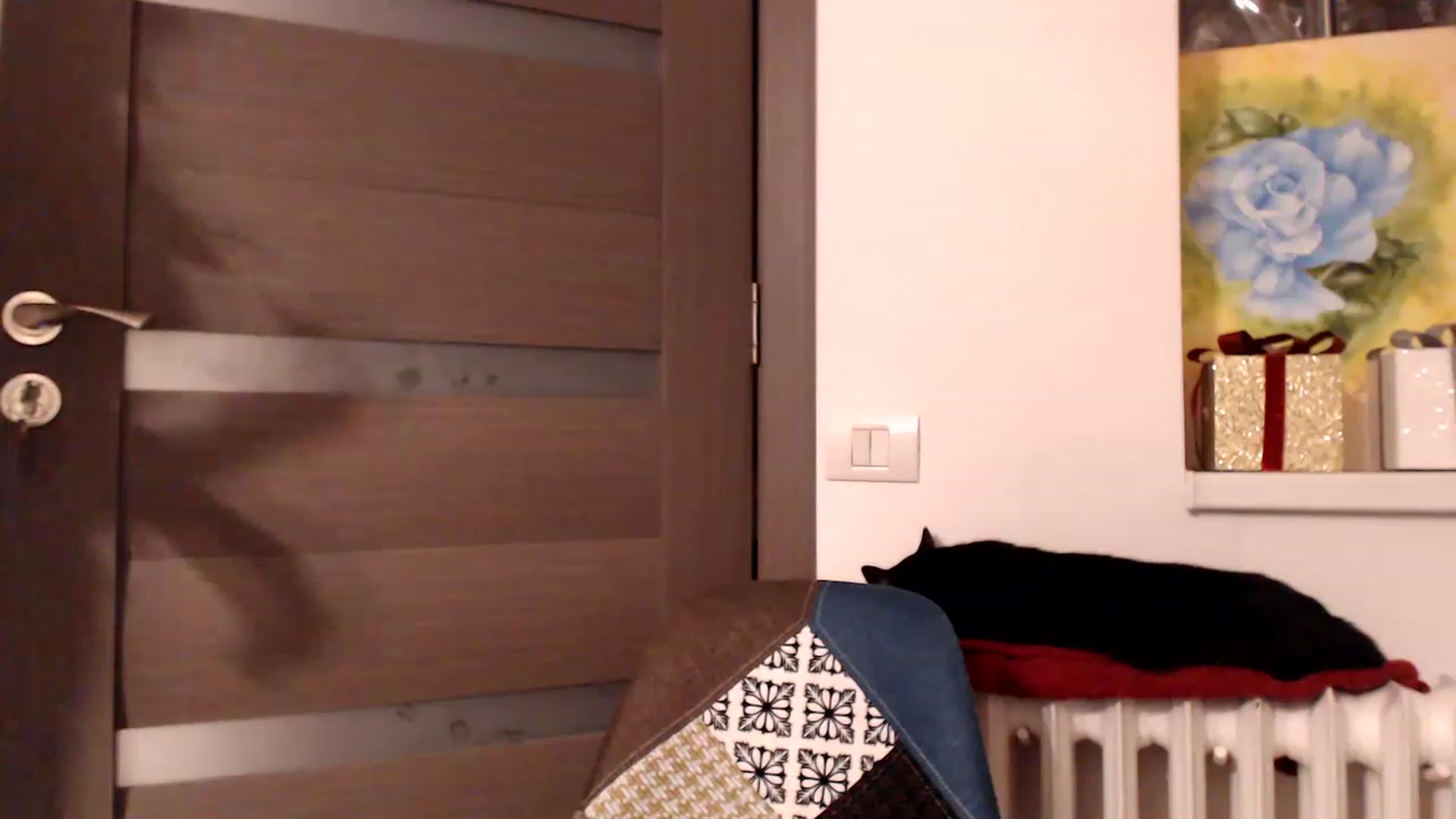 Gallery image thumbnail from Ana_Rose's myfreecams stream on, 12/30/2022, 24:39 image 5 of 20