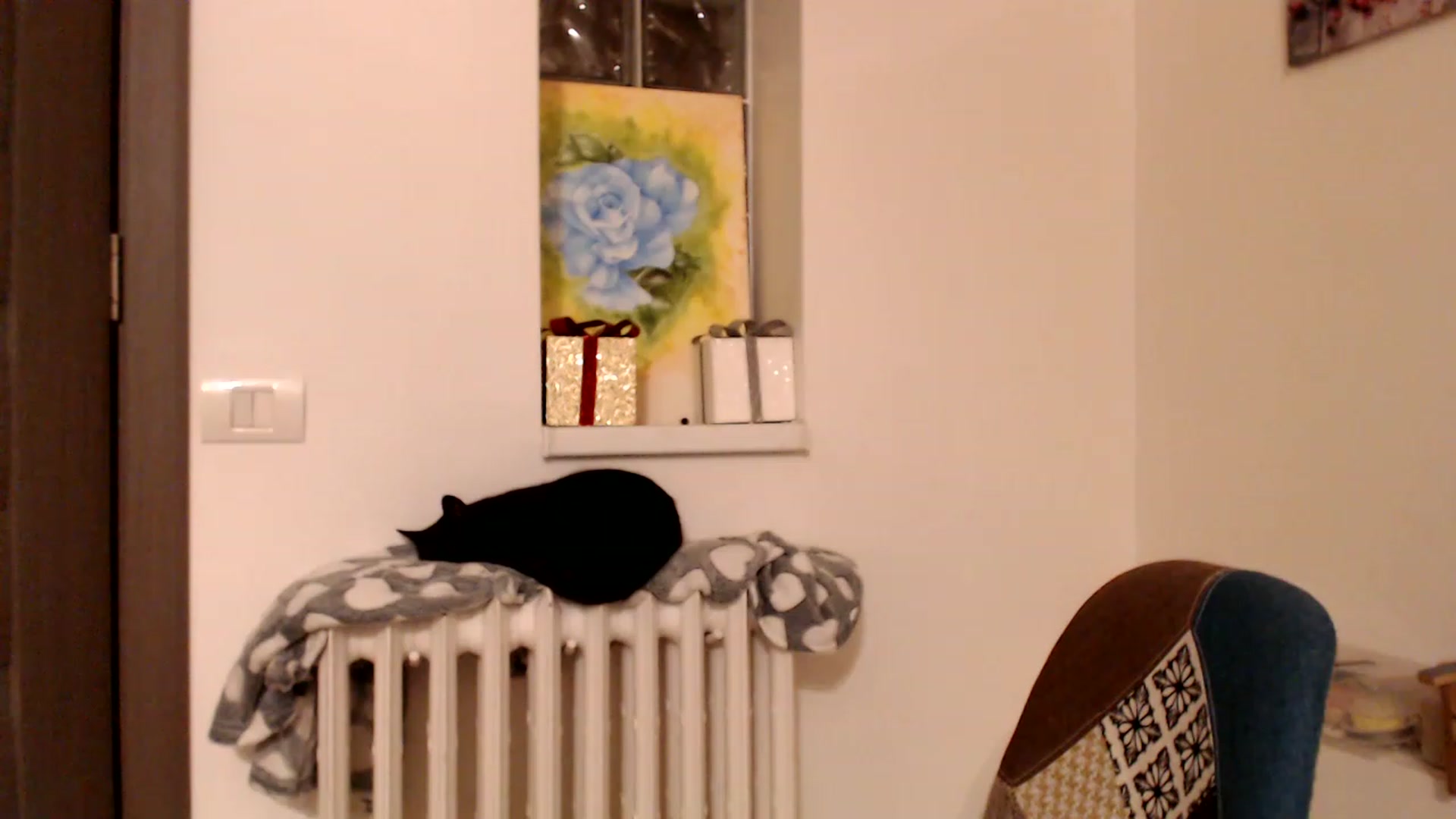 Gallery image thumbnail from Ana_Rose's myfreecams stream on, 02/18/2023, 04:01 image 16 of 20