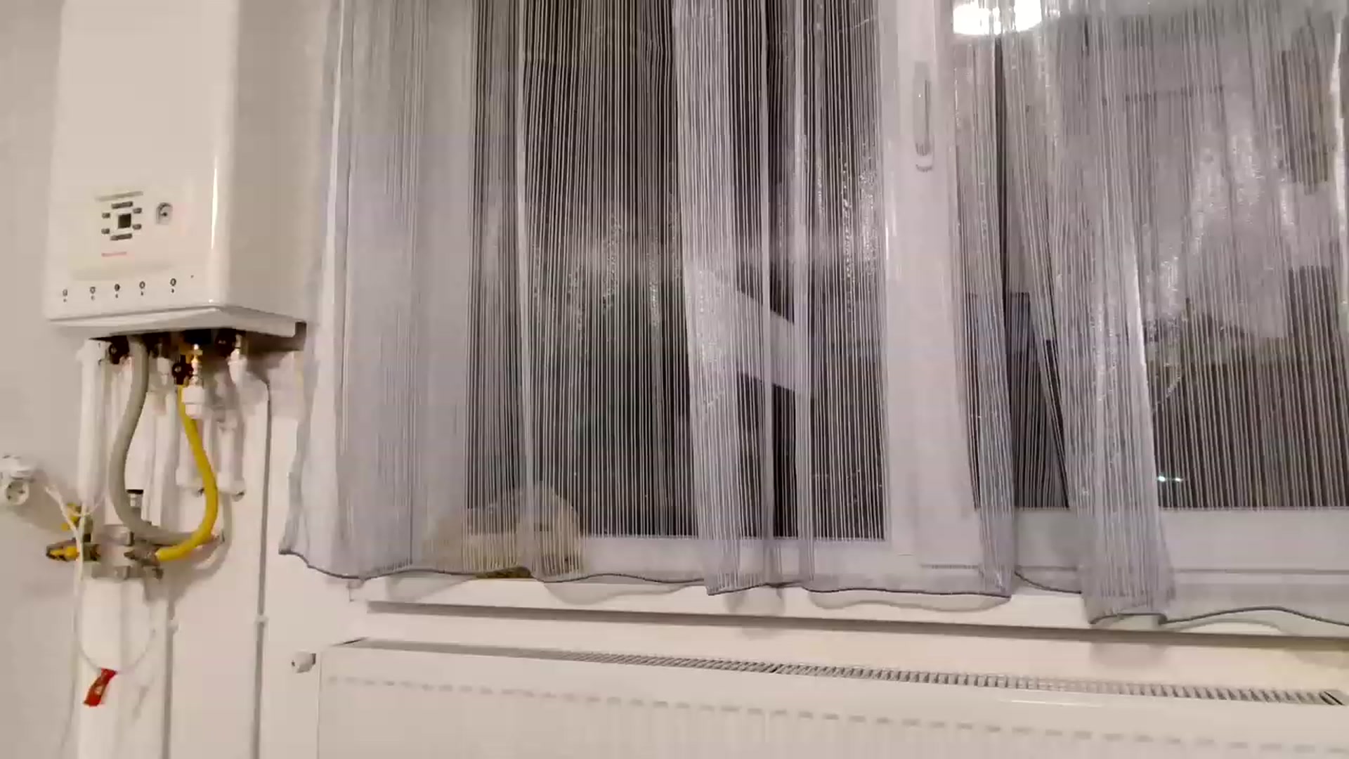 Gallery image thumbnail from Ana_Rose's myfreecams stream on, 06/10/2023, 24:01 image 15 of 20