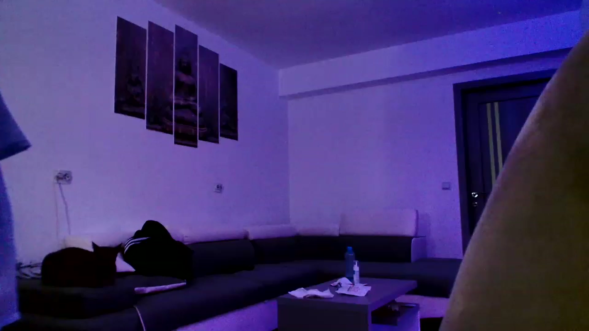 Gallery image thumbnail from Ana_Rose's myfreecams stream on, 06/30/2023, 23:09 image 11 of 20