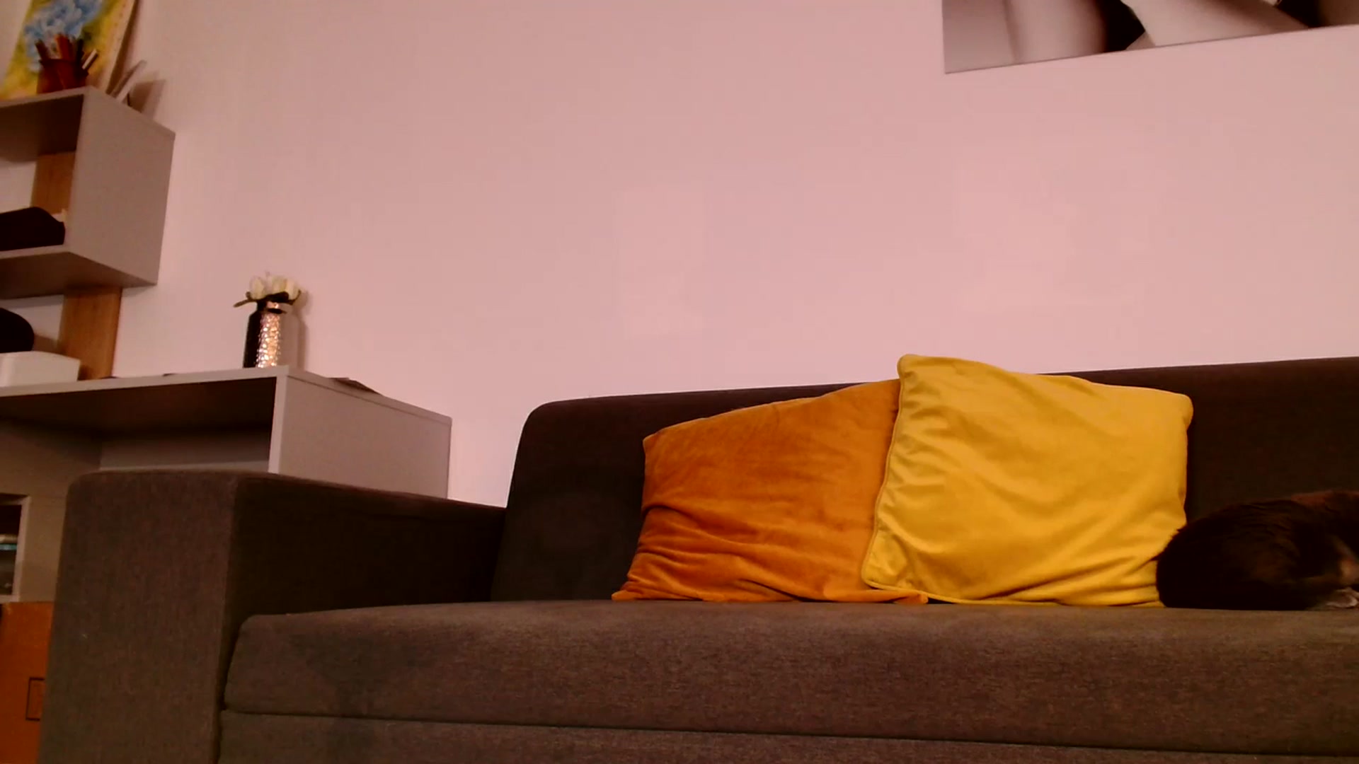 Gallery image thumbnail from Ana_Rose's myfreecams stream on, 10/09/2023, 21:13 image 20 of 20