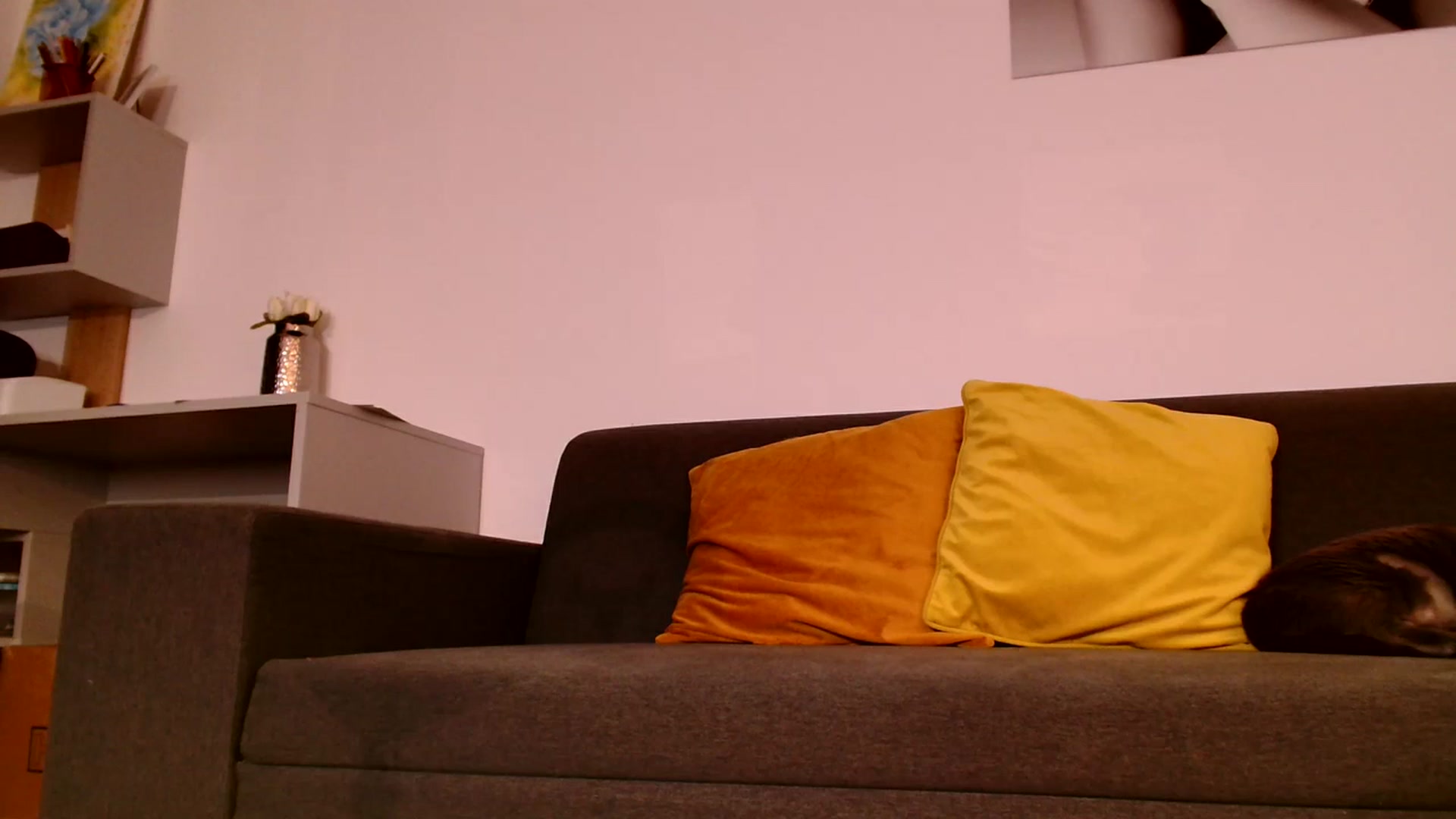 Gallery image thumbnail from Ana_Rose's myfreecams stream on, 10/09/2023, 21:13 image 17 of 20