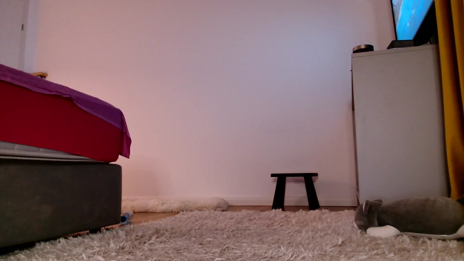 Gallery image thumbnail from Ana_Rose's myfreecams stream on, 10/13/2023, 22:50 image 4 of 20
