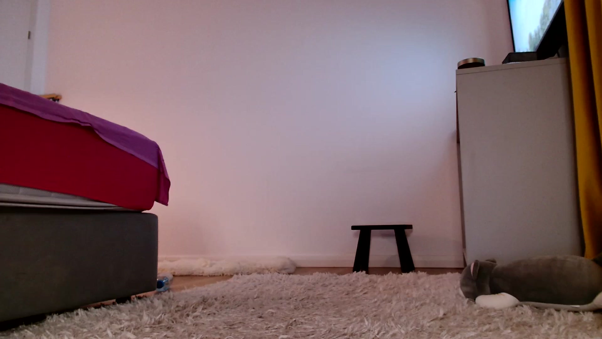 Gallery image thumbnail from Ana_Rose's myfreecams stream on, 10/13/2023, 22:50 image 3 of 20