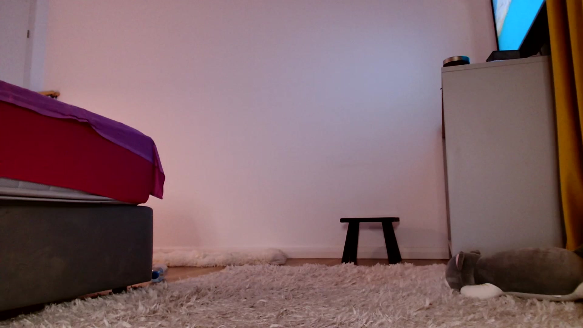 Gallery image thumbnail from Ana_Rose's myfreecams stream on, 10/13/2023, 22:50 image 5 of 20