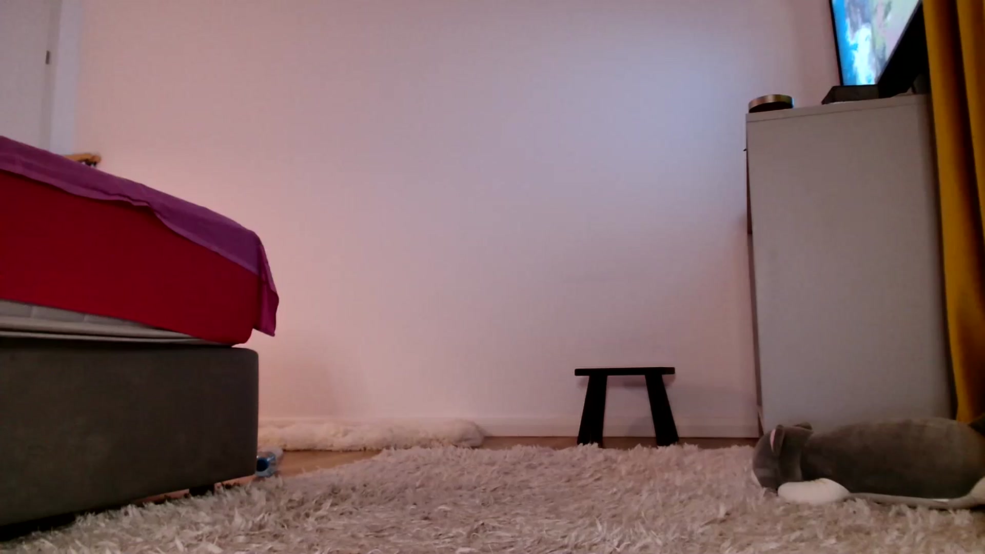 Gallery image thumbnail from Ana_Rose's myfreecams stream on, 10/13/2023, 22:50 image 2 of 20