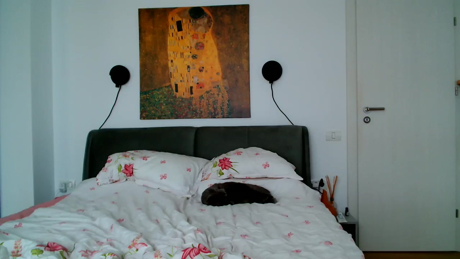 Gallery image thumbnail from Ana_Rose's myfreecams stream on, 06/03/2024, 19:05 image 7 of 20