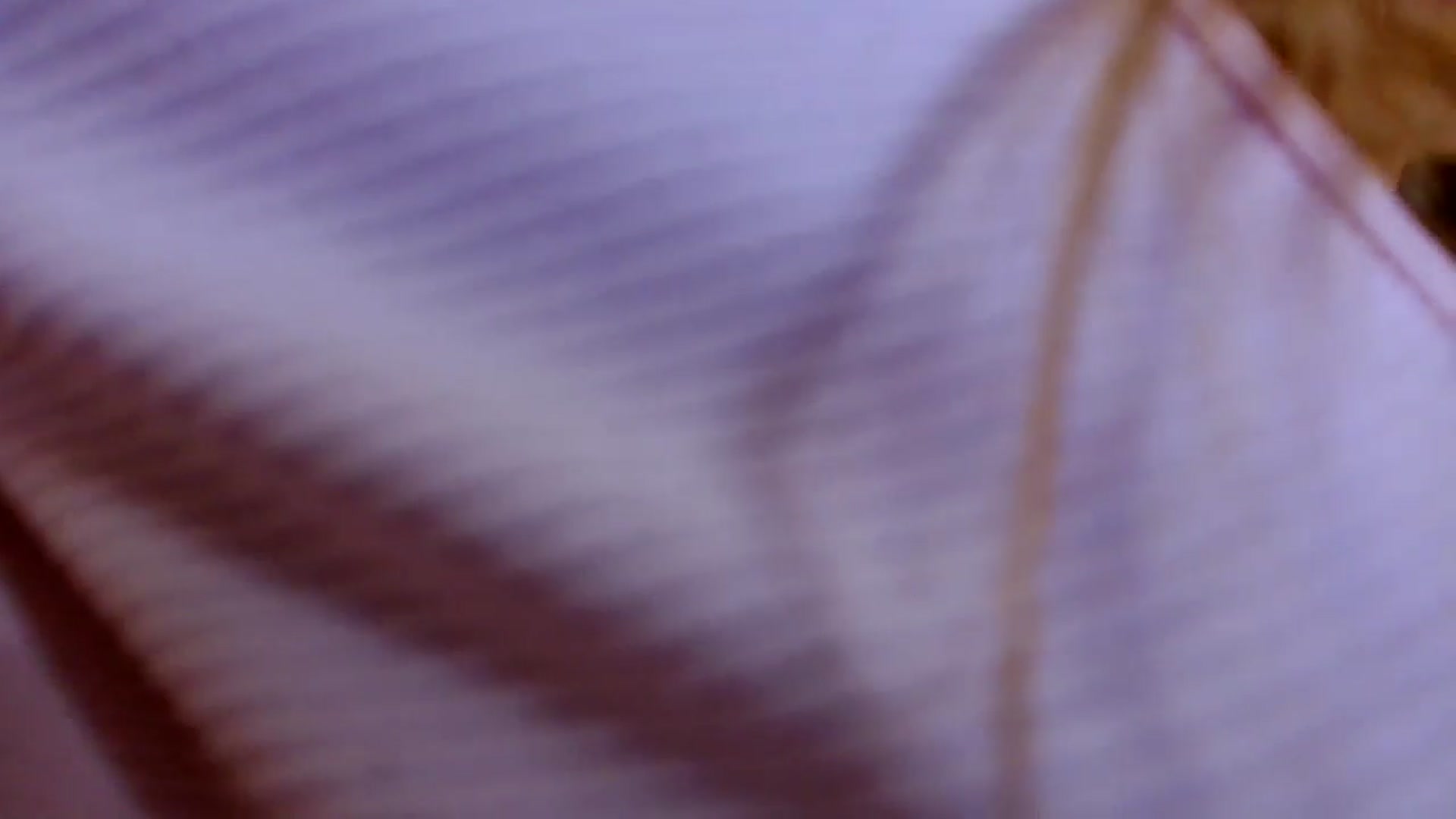 Gallery image thumbnail from Ana_Rose's myfreecams stream on, 09/04/2024, 20:52 image 5 of 20
