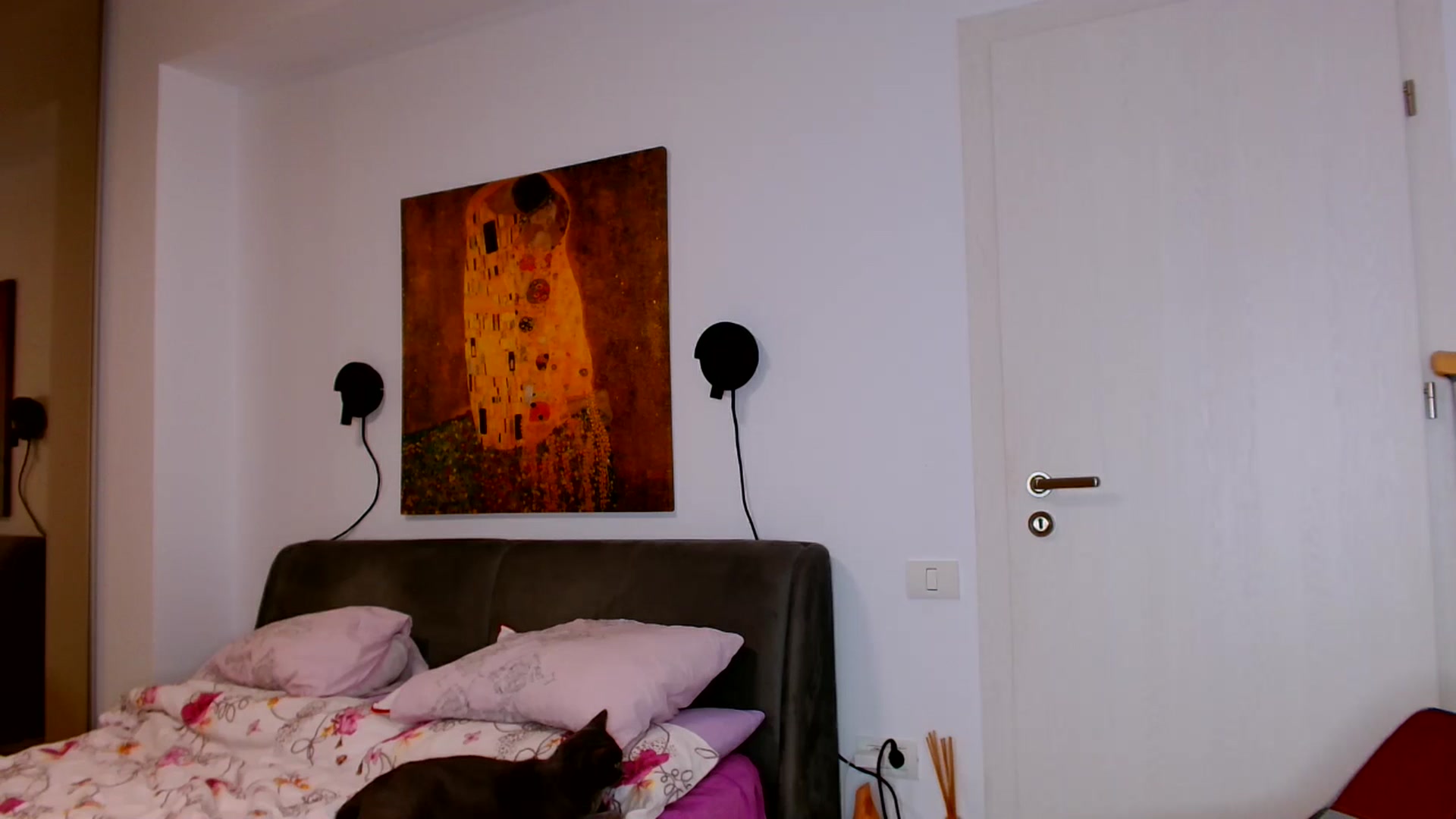 Gallery image thumbnail from Ana_Rose's myfreecams stream on, 09/05/2024, 21:58 image 18 of 20