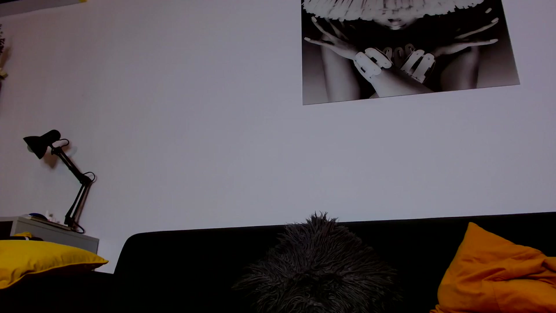 Gallery image thumbnail from Ana_Rose's myfreecams stream on, 09/25/2024, 22:47 image 6 of 20