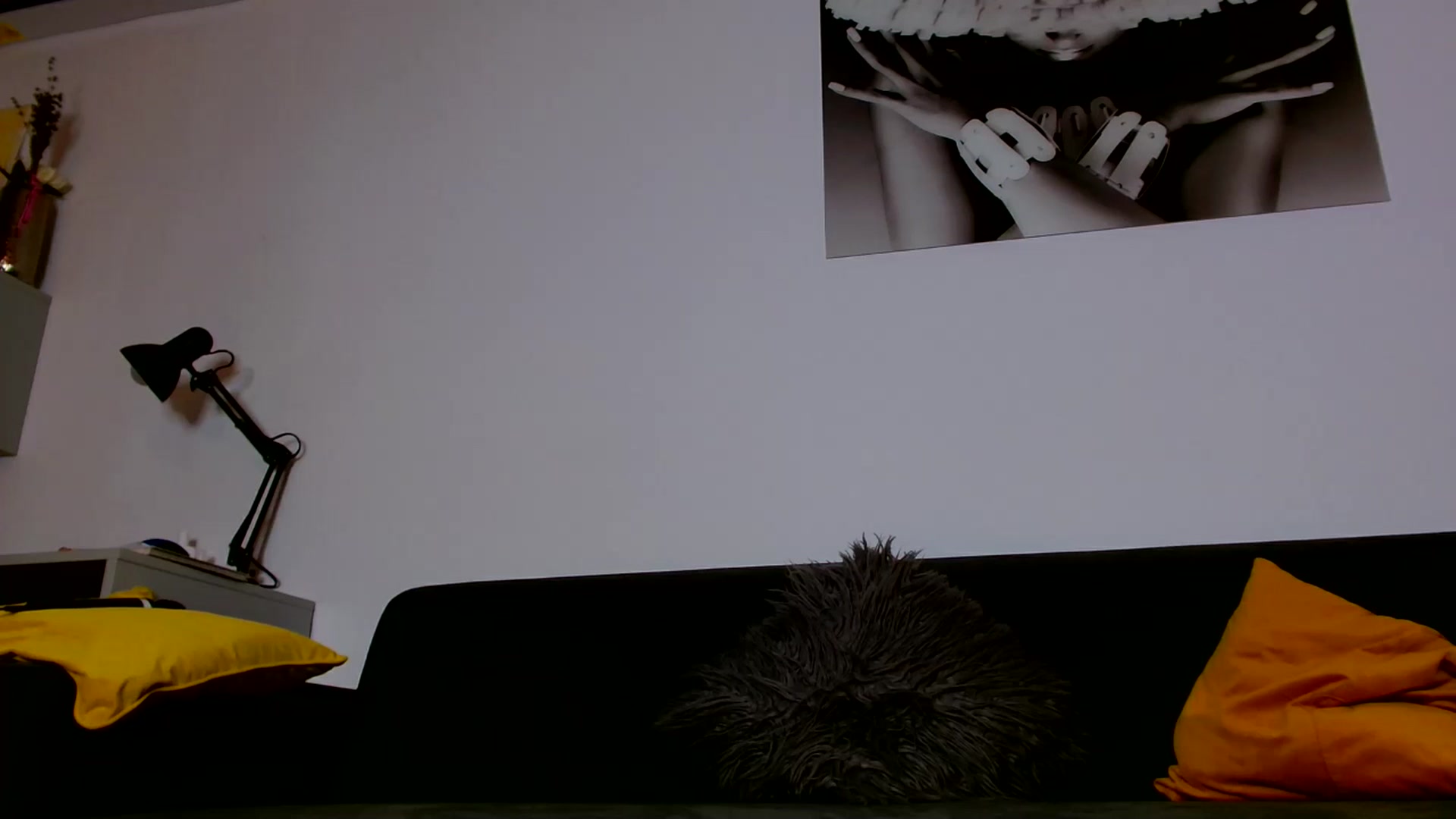 Gallery image thumbnail from Ana_Rose's myfreecams stream on, 09/25/2024, 22:47 image 19 of 20