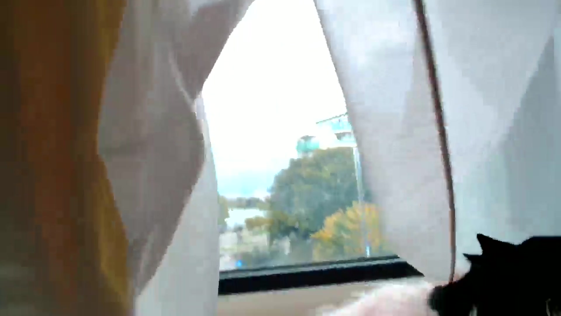 Gallery image thumbnail from Ana_Rose's myfreecams stream on, 09/29/2024, 15:04 image 15 of 20