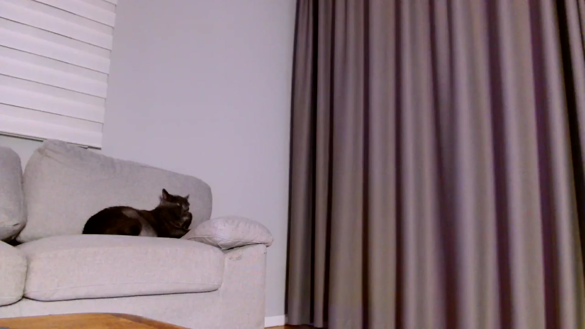 Gallery image thumbnail from Ana_Rose's myfreecams stream on, 04/26/2025, 01:30 image 20 of 20