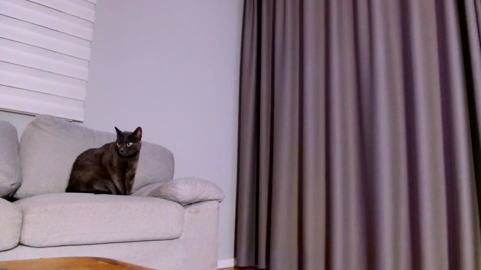 Gallery image thumbnail from Ana_Rose's myfreecams stream on, 04/26/2025, 01:30 image 19 of 20