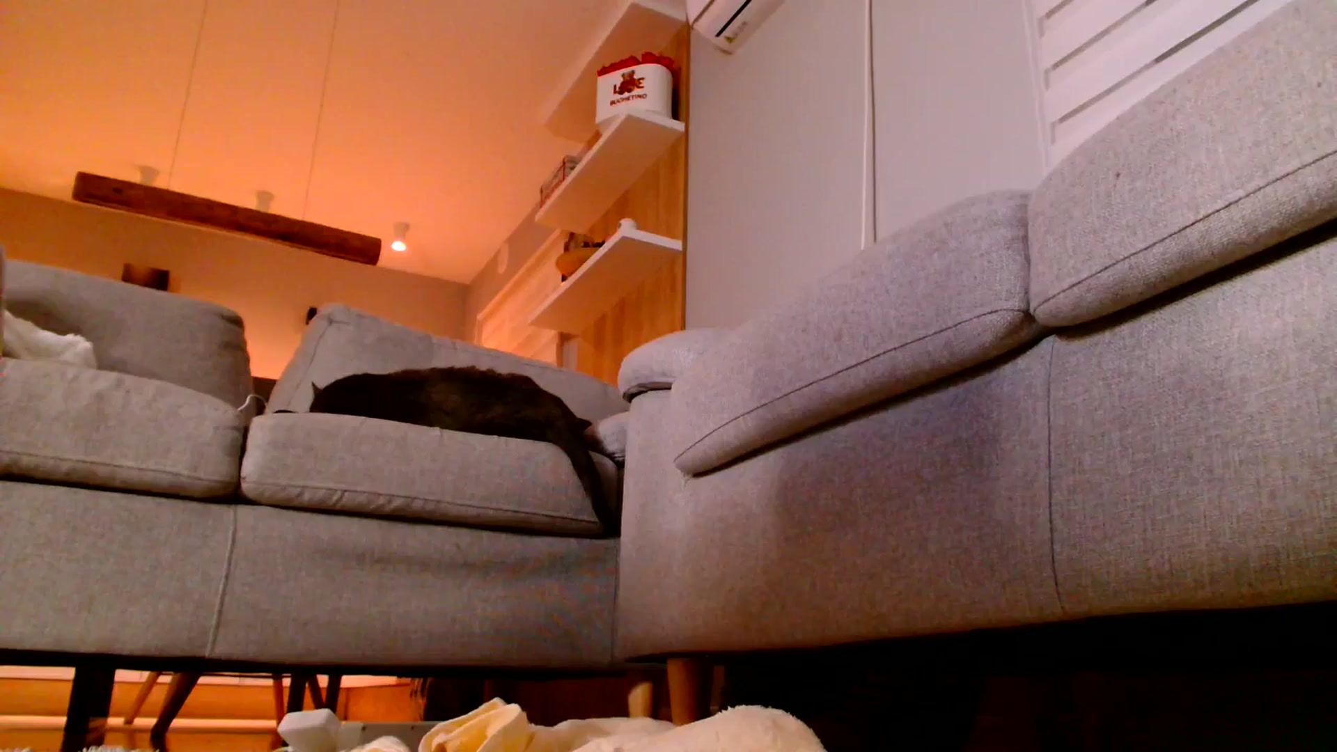 Gallery image thumbnail from Ana_Rose's myfreecams stream on, 06/14/2025, 24:30 image 18 of 20