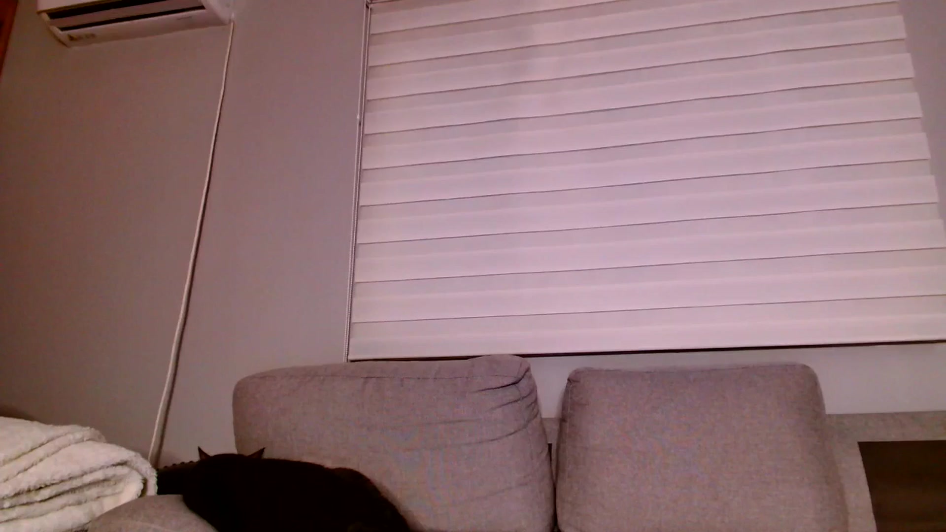 Gallery image thumbnail from Ana_Rose's myfreecams stream on, 06/14/2025, 23:51 image 1 of 20
