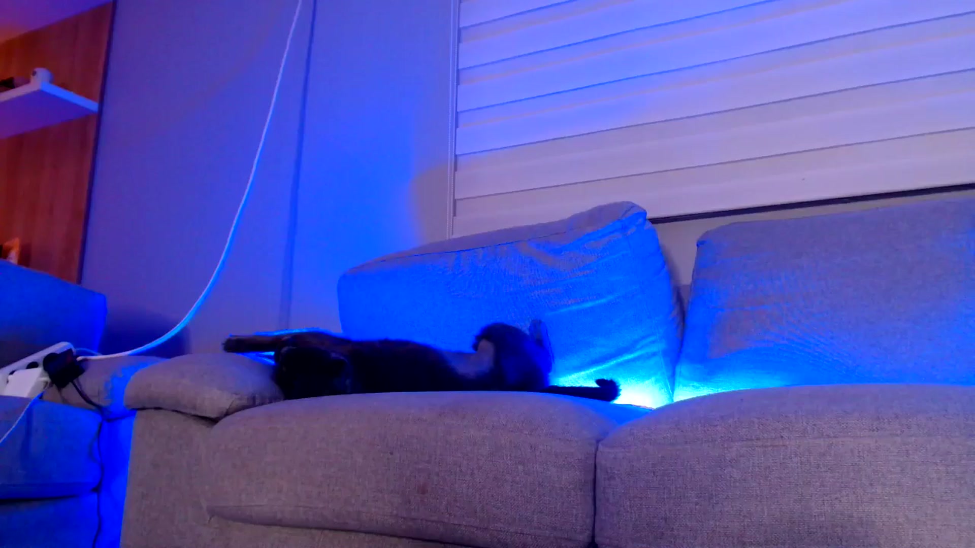 Gallery image thumbnail from Ana_Rose's myfreecams stream on, 06/28/2025, 24:36 image 8 of 20