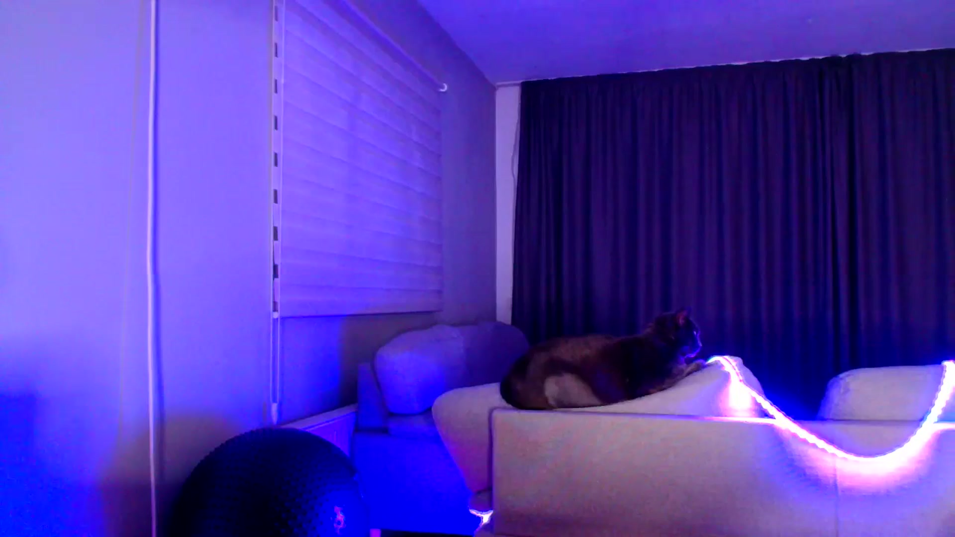 Gallery image thumbnail from Ana_Rose's myfreecams stream on, 08/10/2025, 21:21 image 18 of 20