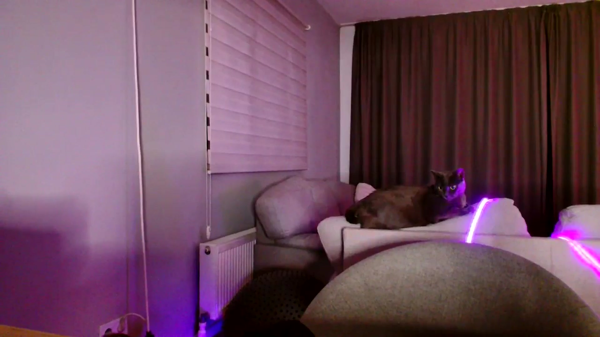 Gallery image thumbnail from Ana_Rose's myfreecams stream on, 09/27/2025, 21:36 image 11 of 20