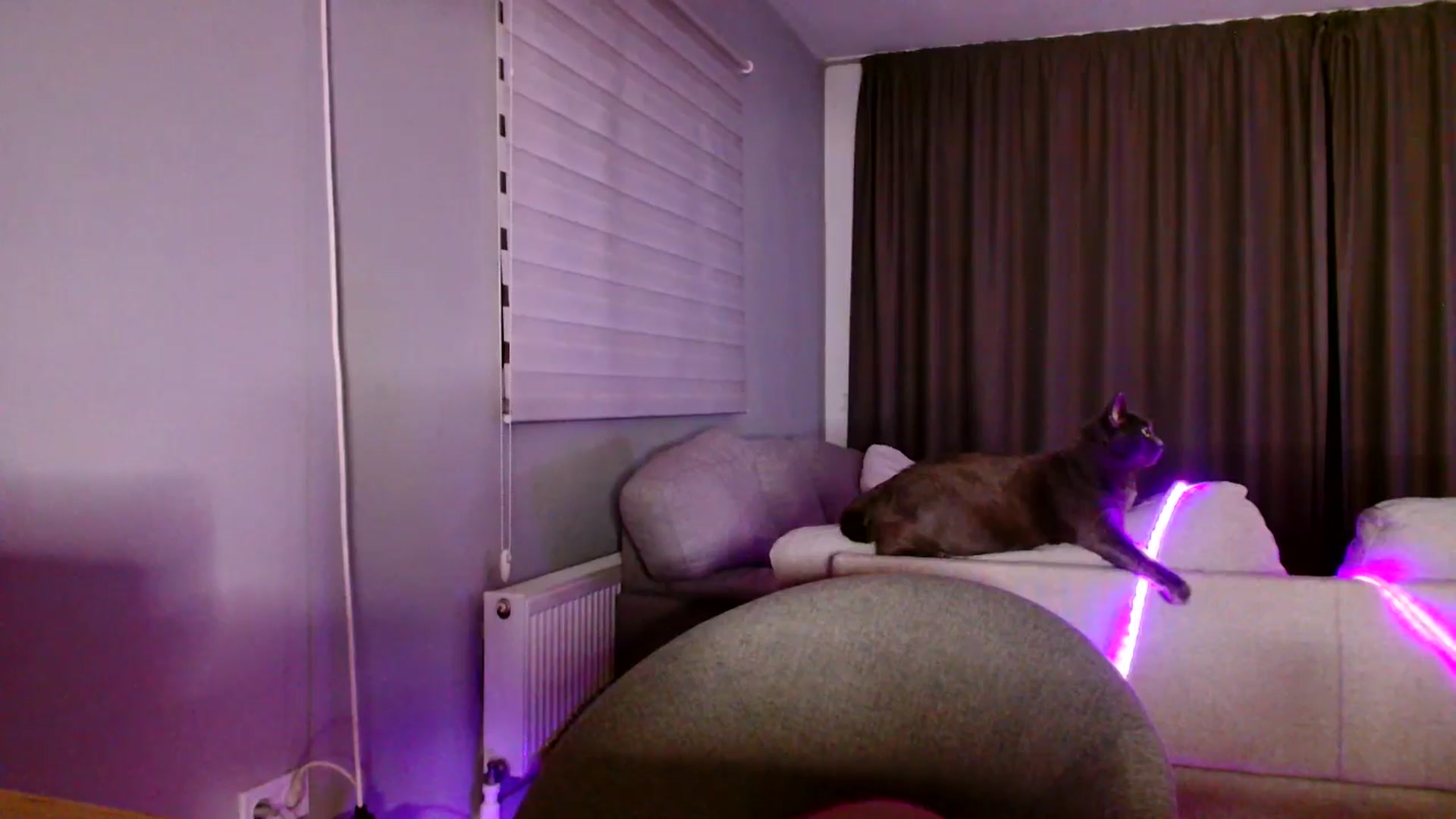 Gallery image thumbnail from Ana_Rose's myfreecams stream on, 09/27/2025, 21:36 image 10 of 20