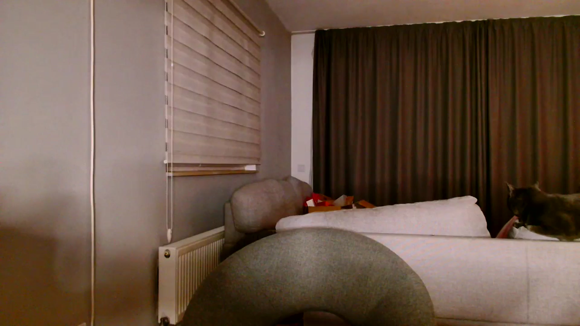 Gallery image thumbnail from Ana_Rose's myfreecams stream on, 11/09/2025, 01:35 image 15 of 20