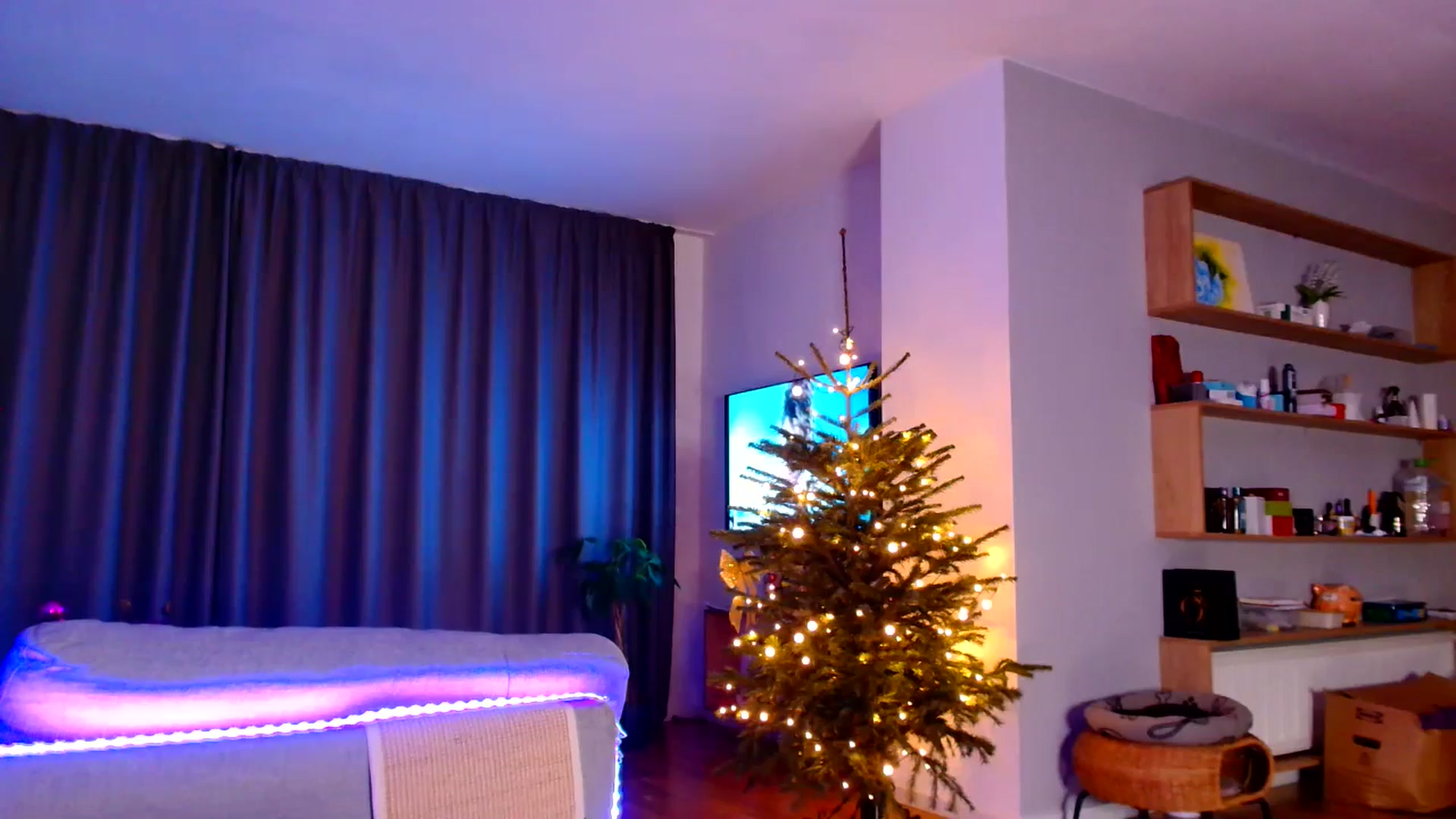 Gallery image thumbnail from Ana_Rose's myfreecams stream on, 01/11/2026, 02:26 image 18 of 20