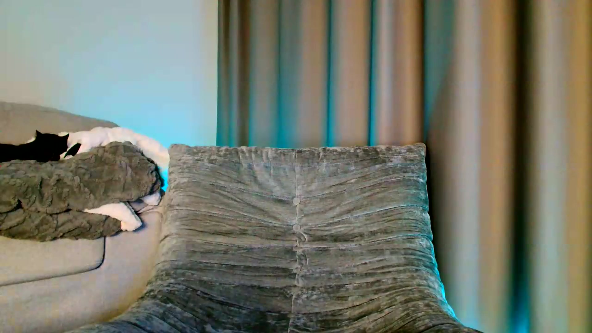 Gallery image thumbnail from Ana_Rose's myfreecams stream on, 05/15/2026, 21:27 image 8 of 20