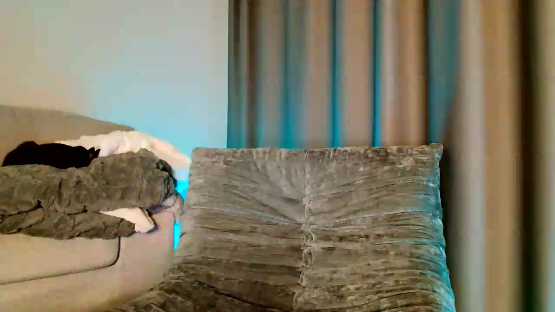Gallery image thumbnail from Ana_Rose's myfreecams stream on, 05/15/2026, 23:07 image 1 of 20