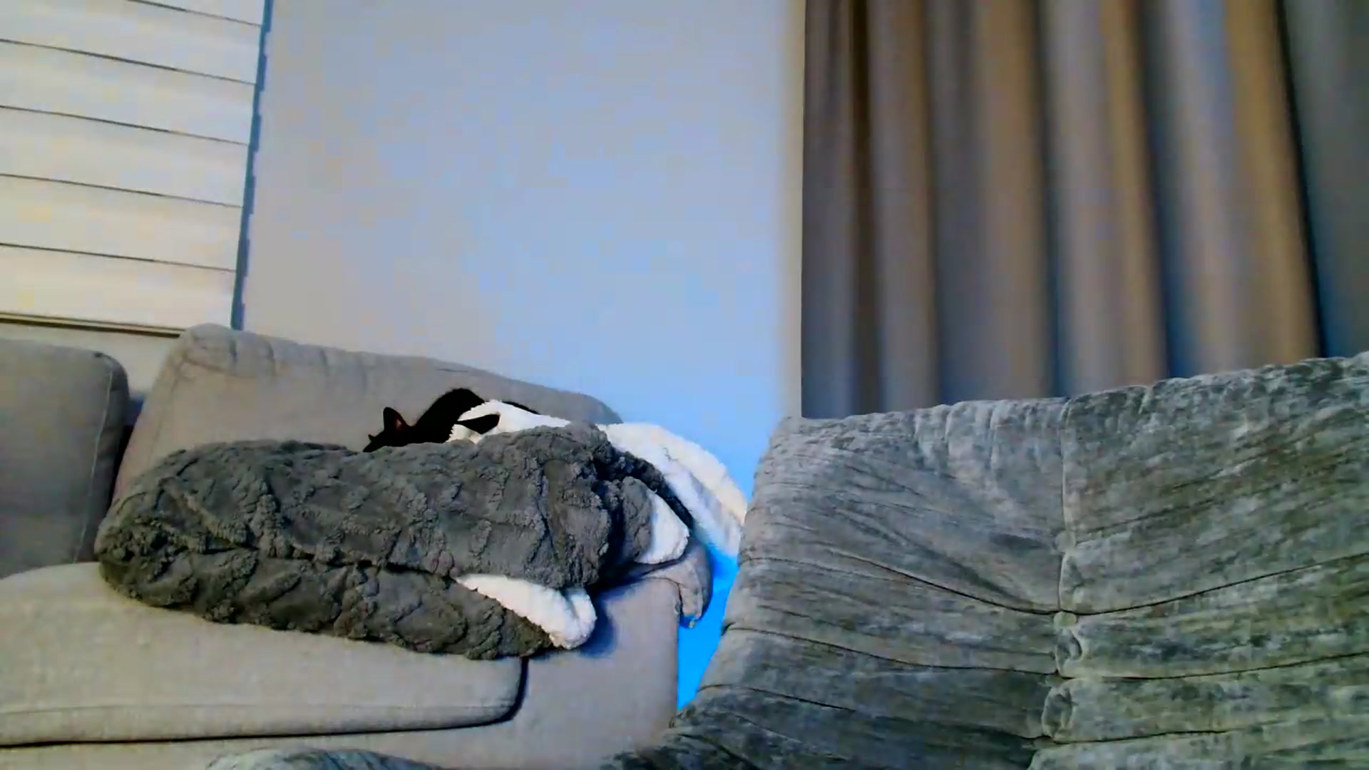 Gallery image thumbnail from Ana_Rose's myfreecams stream on, 05/18/2026, 21:53 image 20 of 20