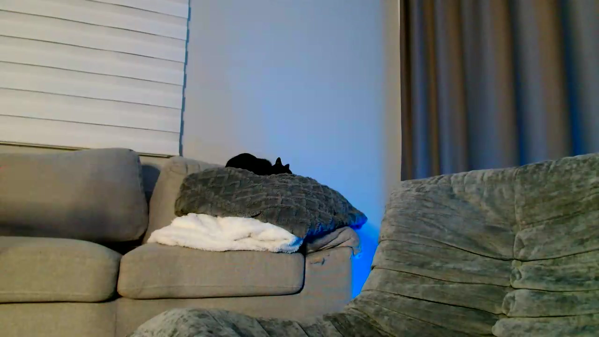 Gallery image thumbnail from Ana_Rose's myfreecams stream on, 05/31/2026, 23:38 image 4 of 20