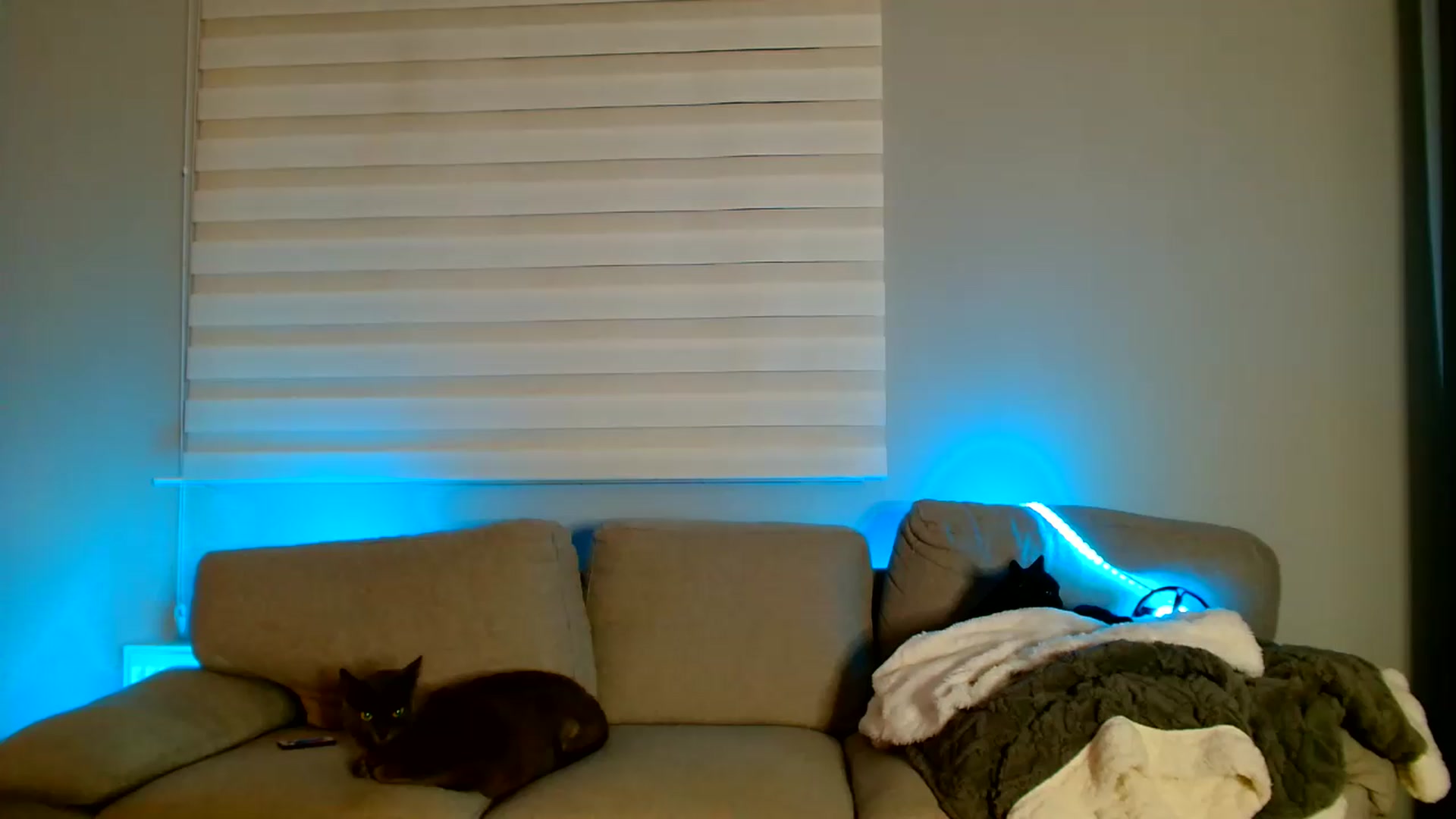 Gallery image thumbnail from Ana_Rose's myfreecams stream on, 07/10/2026, 01:09 image 8 of 20