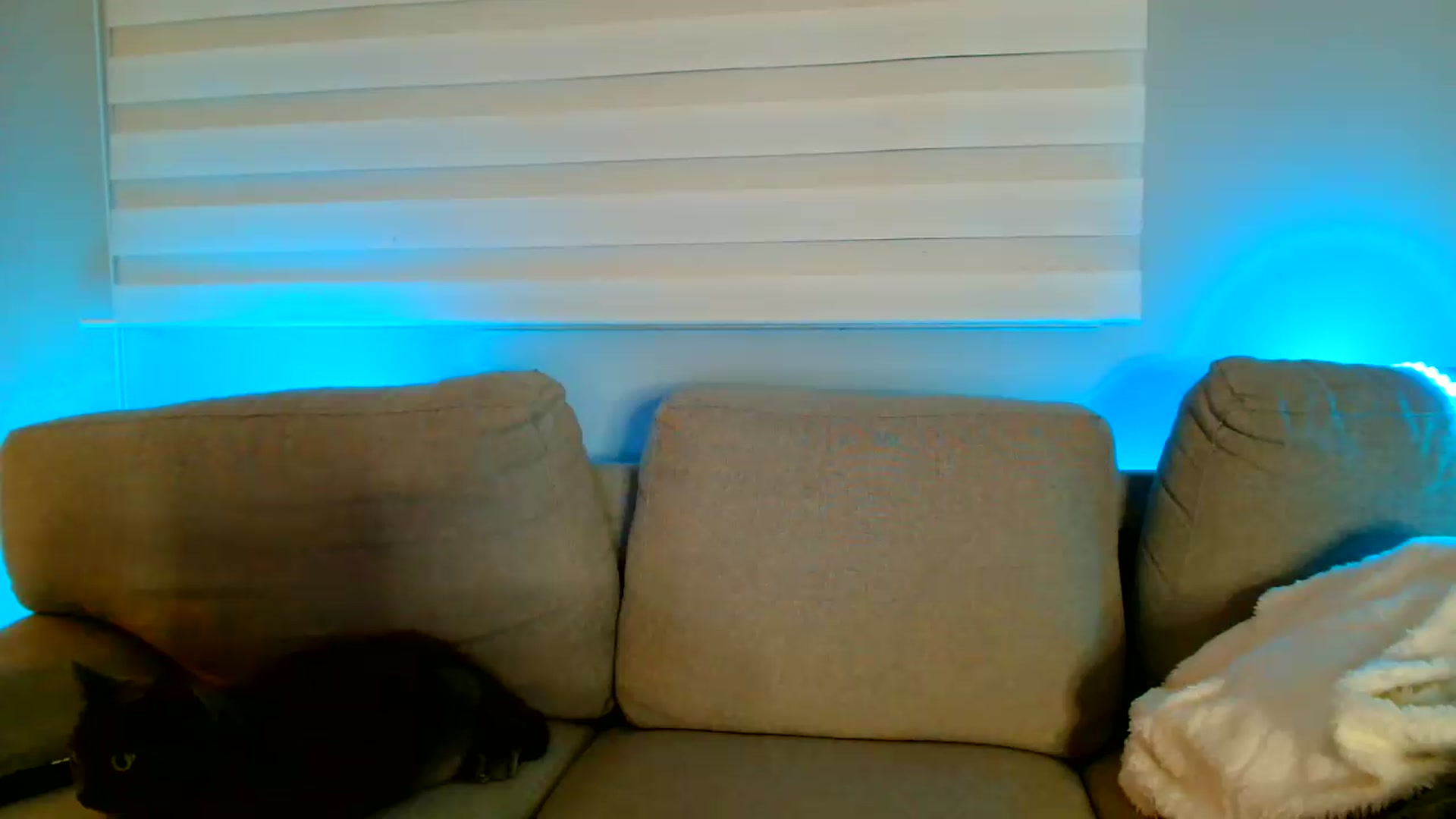 Gallery image thumbnail from Ana_Rose's myfreecams stream on, 07/11/2026, 01:51 image 9 of 20