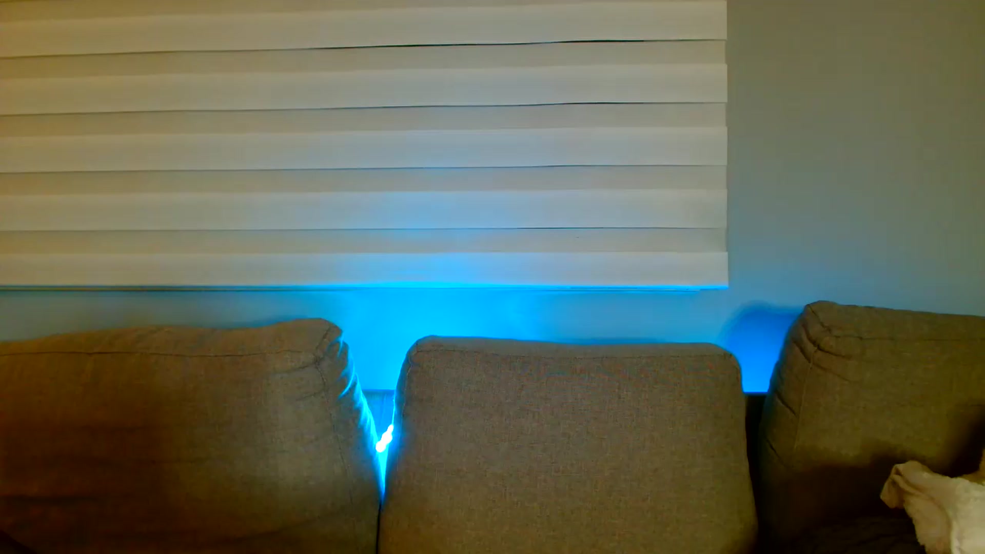 Gallery image thumbnail from Ana_Rose's myfreecams stream on, 07/31/2026, 23:05 image 18 of 20