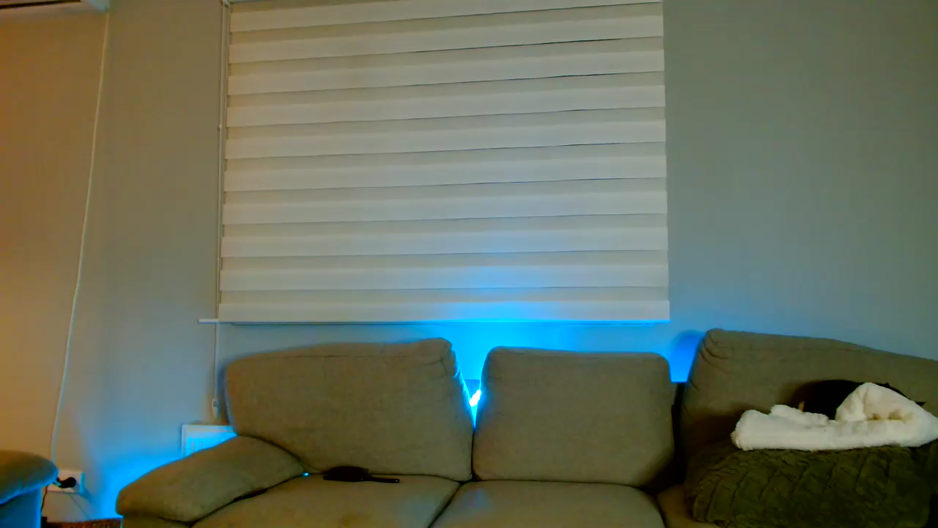 Gallery image thumbnail from Ana_Rose's myfreecams stream on, 08/01/2026, 01:31 image 20 of 20