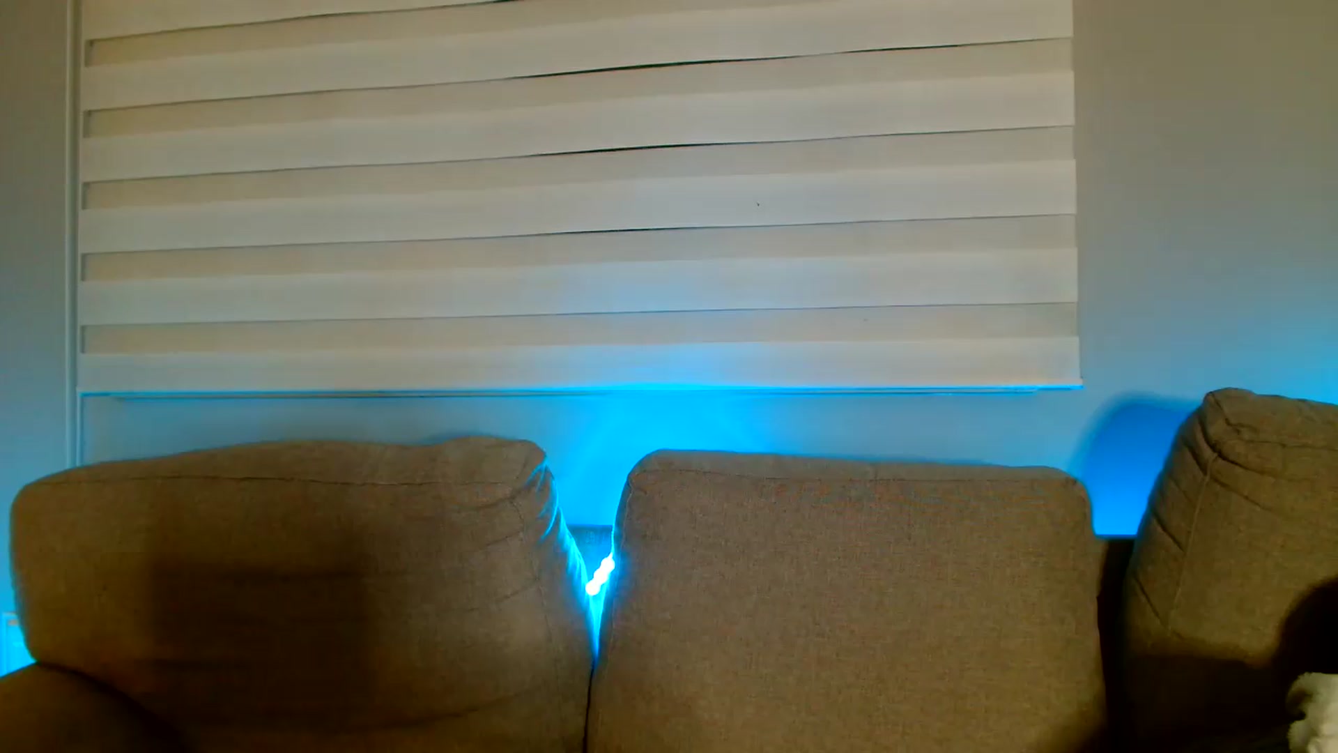 Gallery image thumbnail from Ana_Rose's myfreecams stream on, 08/07/2026, 23:32 image 19 of 20