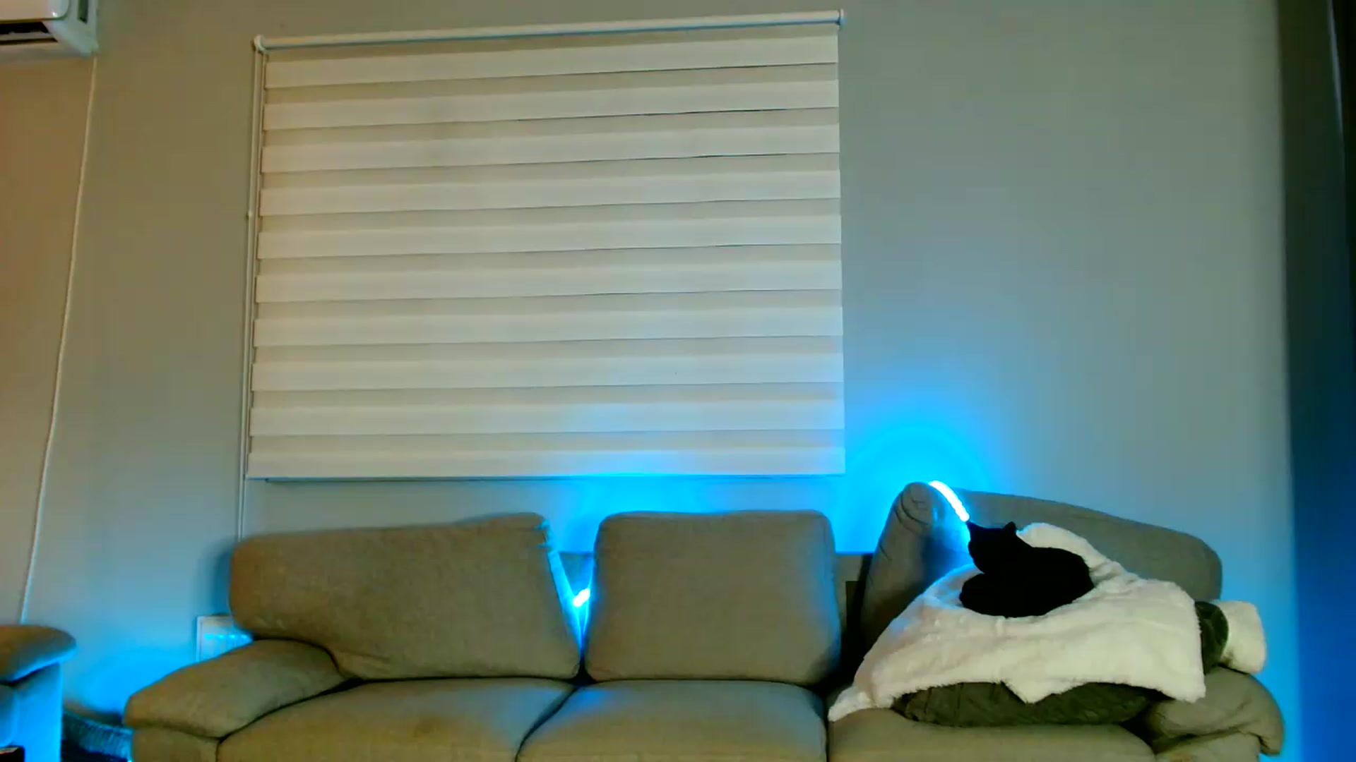 Gallery image thumbnail from Ana_Rose's myfreecams stream on, 08/15/2026, 24:04 image 17 of 20