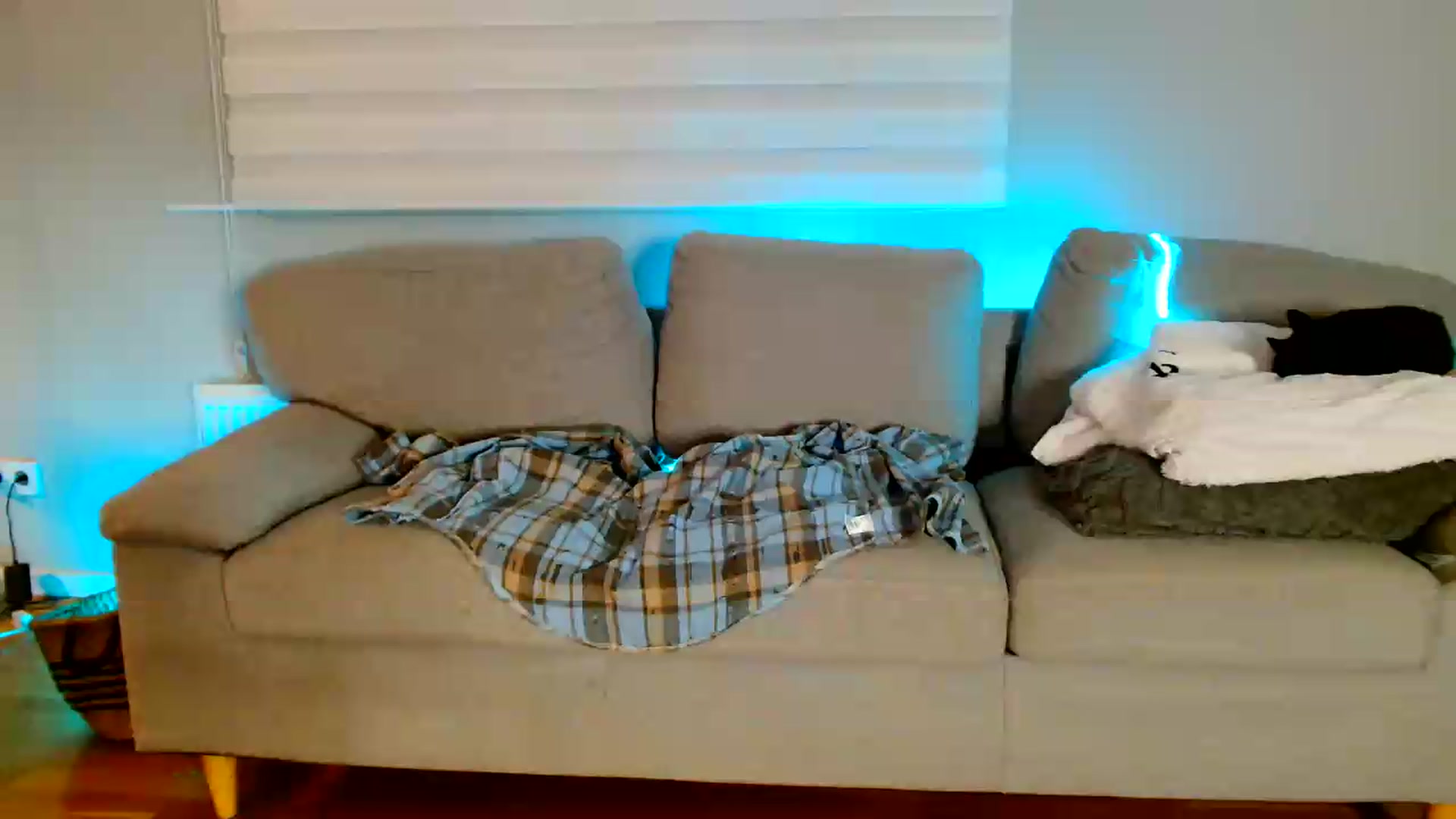 Gallery image thumbnail from Ana_Rose's myfreecams stream on, 09/12/2026, 24:35 image 1 of 20