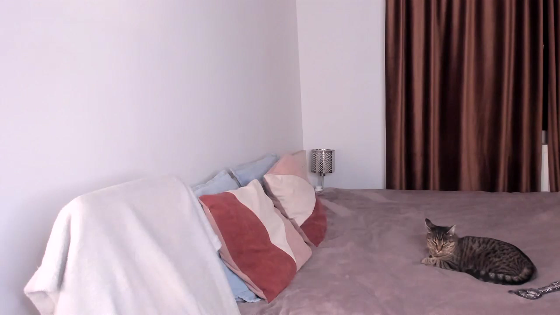 Gallery image thumbnail from Ana__xo's myfreecams stream on, 11/05/2024, 19:03 image 20 of 20